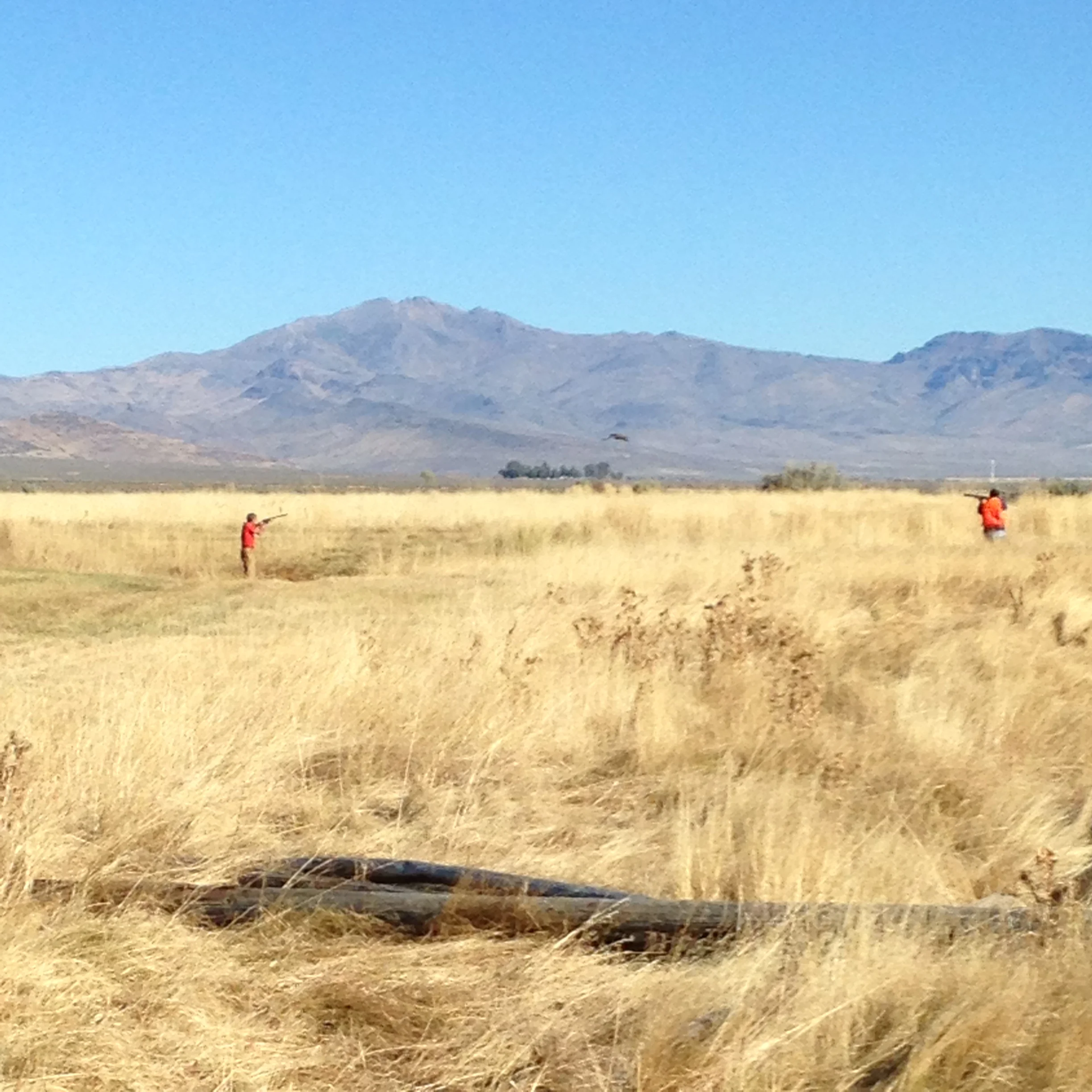 hunt club pics 016.JPG