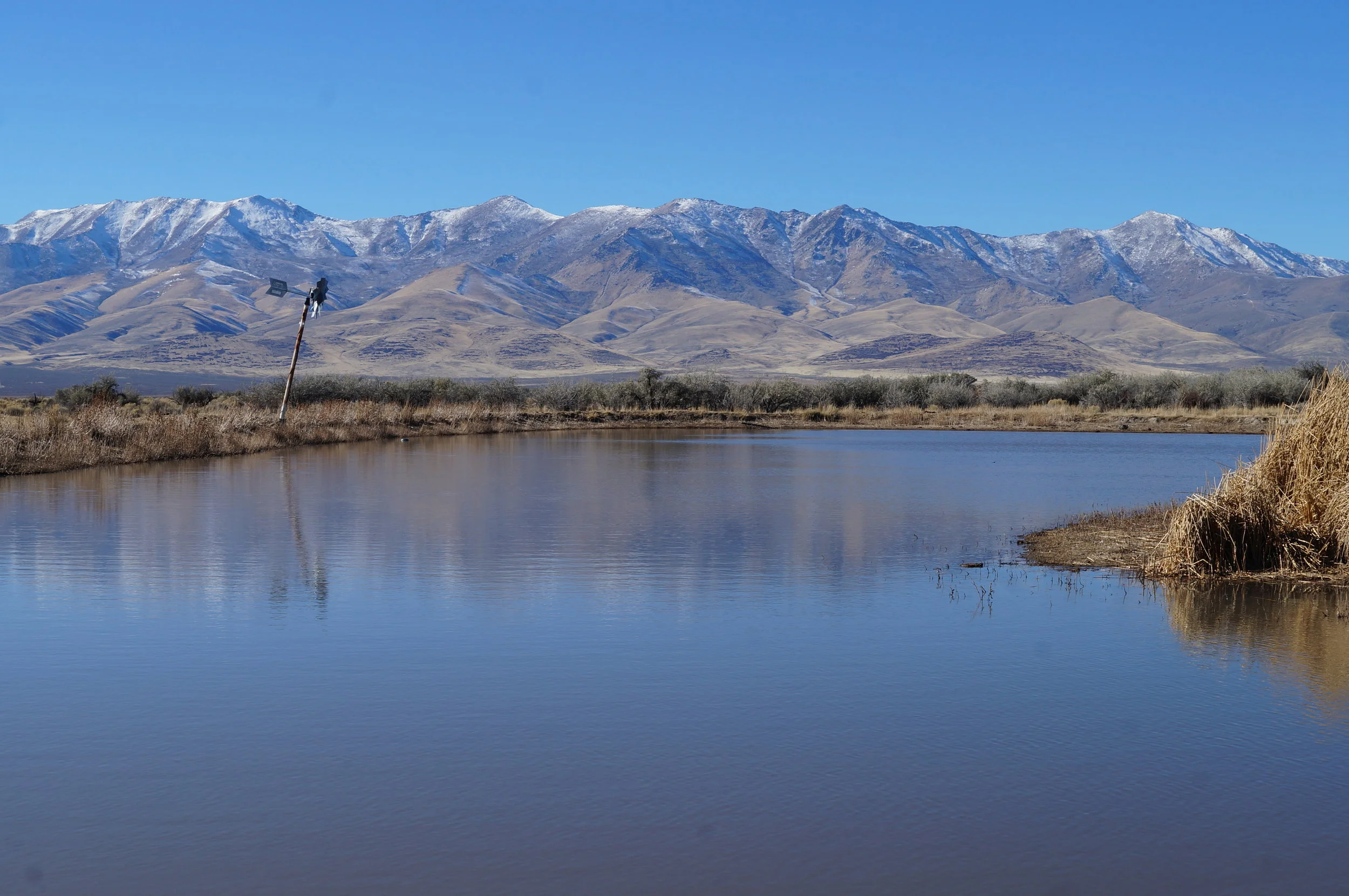 hunt club pics and videos 057.JPG