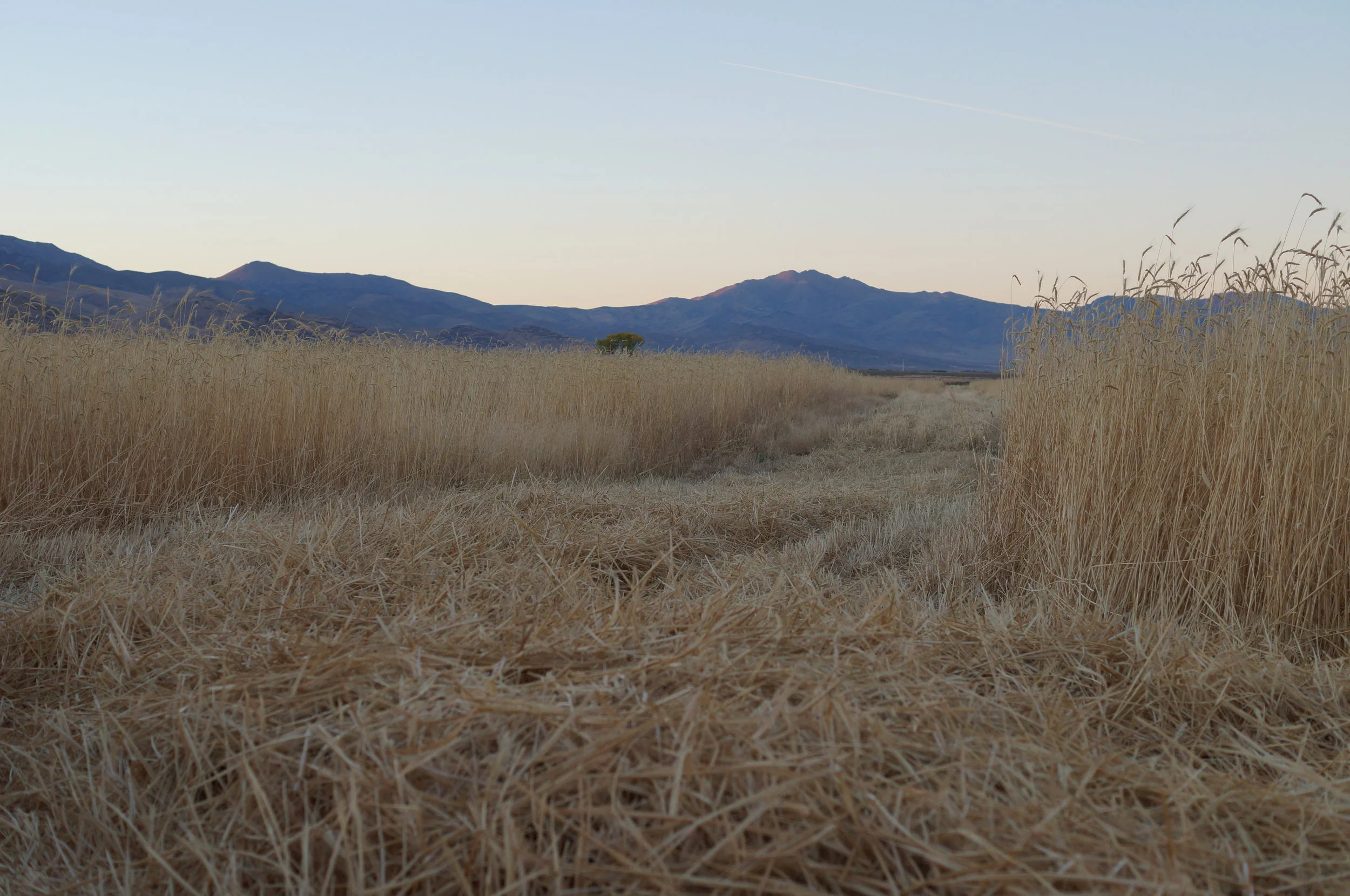 hunting pics 2016 and twins 056.JPG