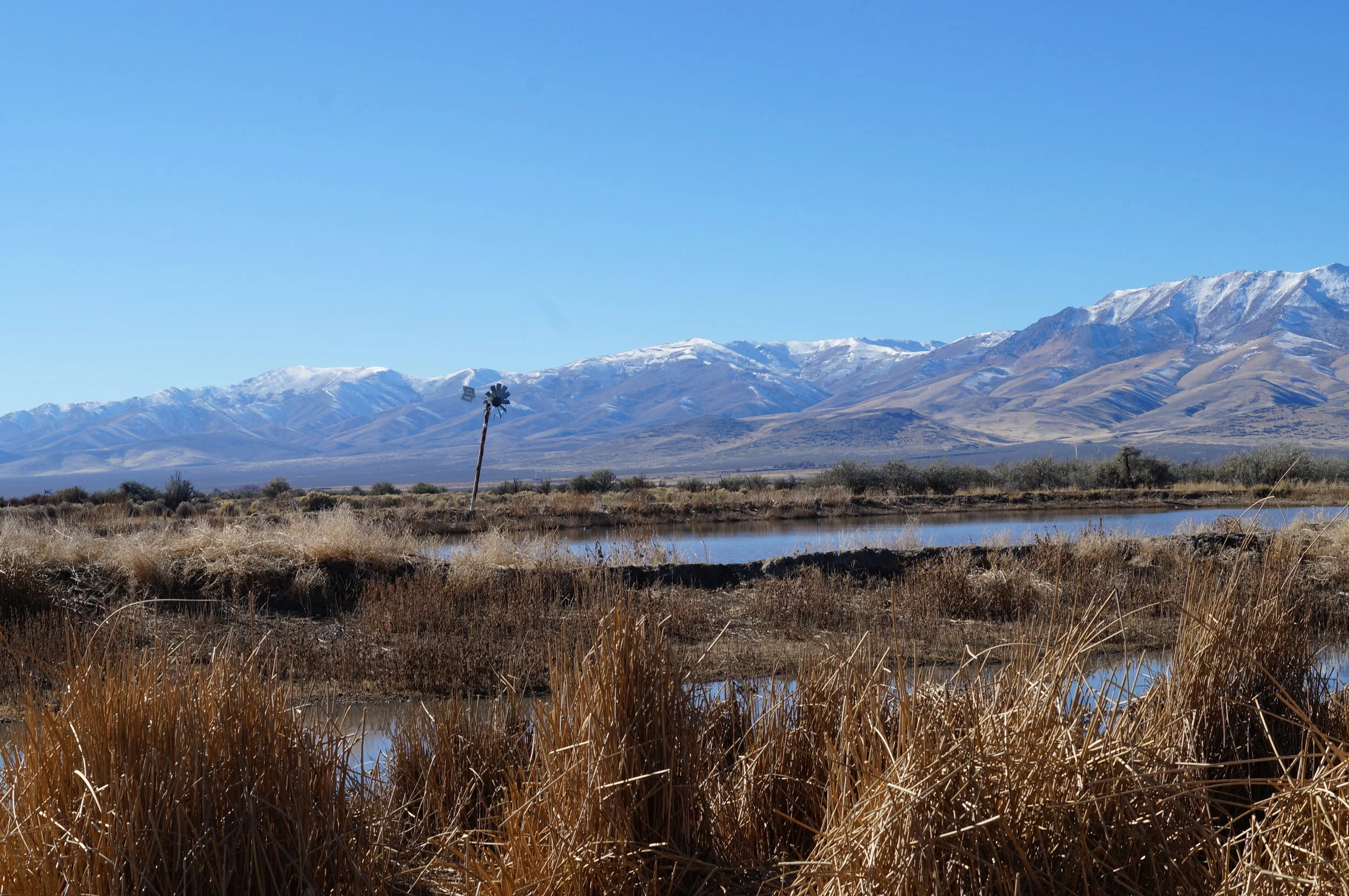 hunt club pics and videos 063.JPG