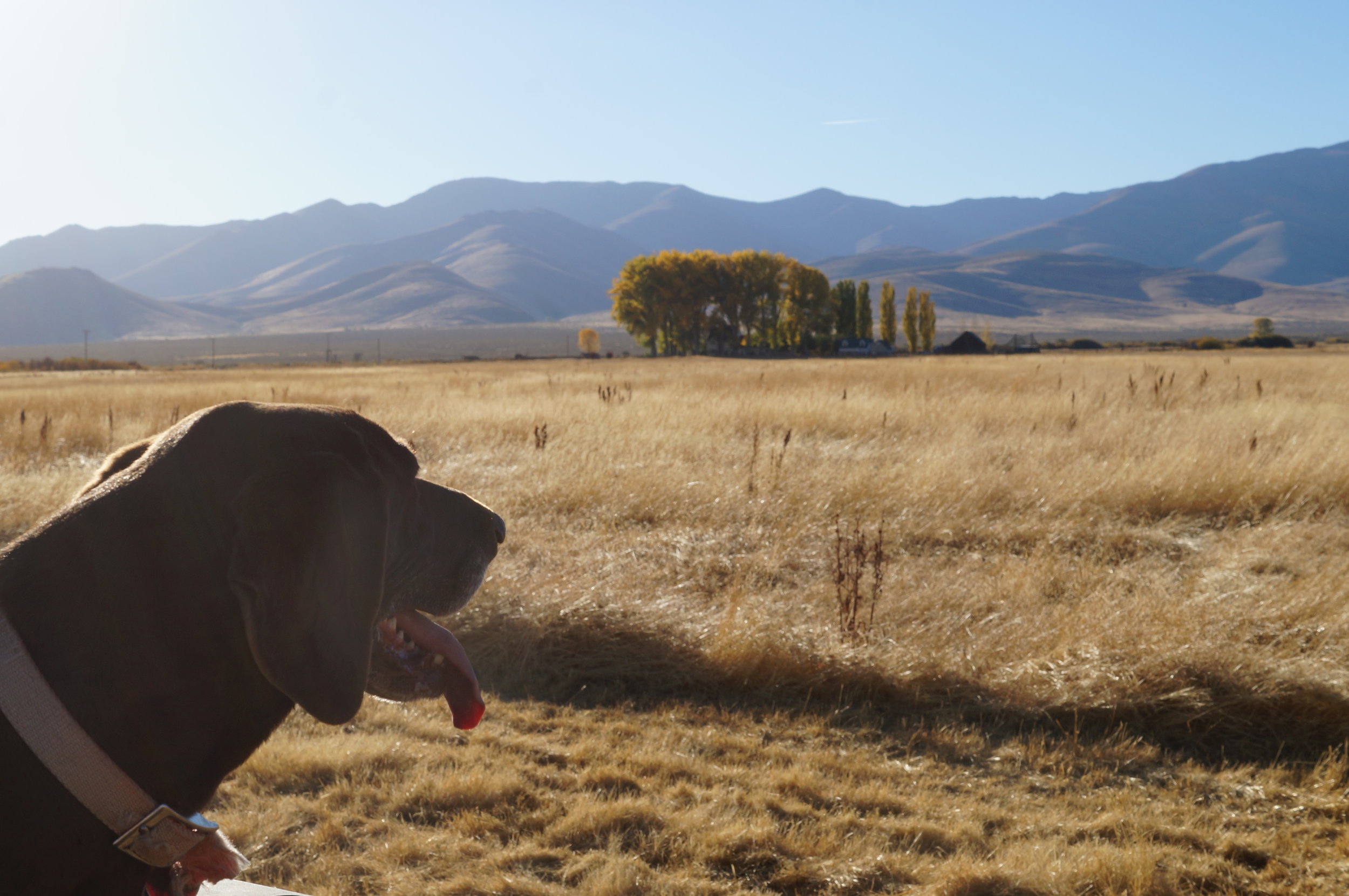 hunting pics 2016 and twins 309.JPG