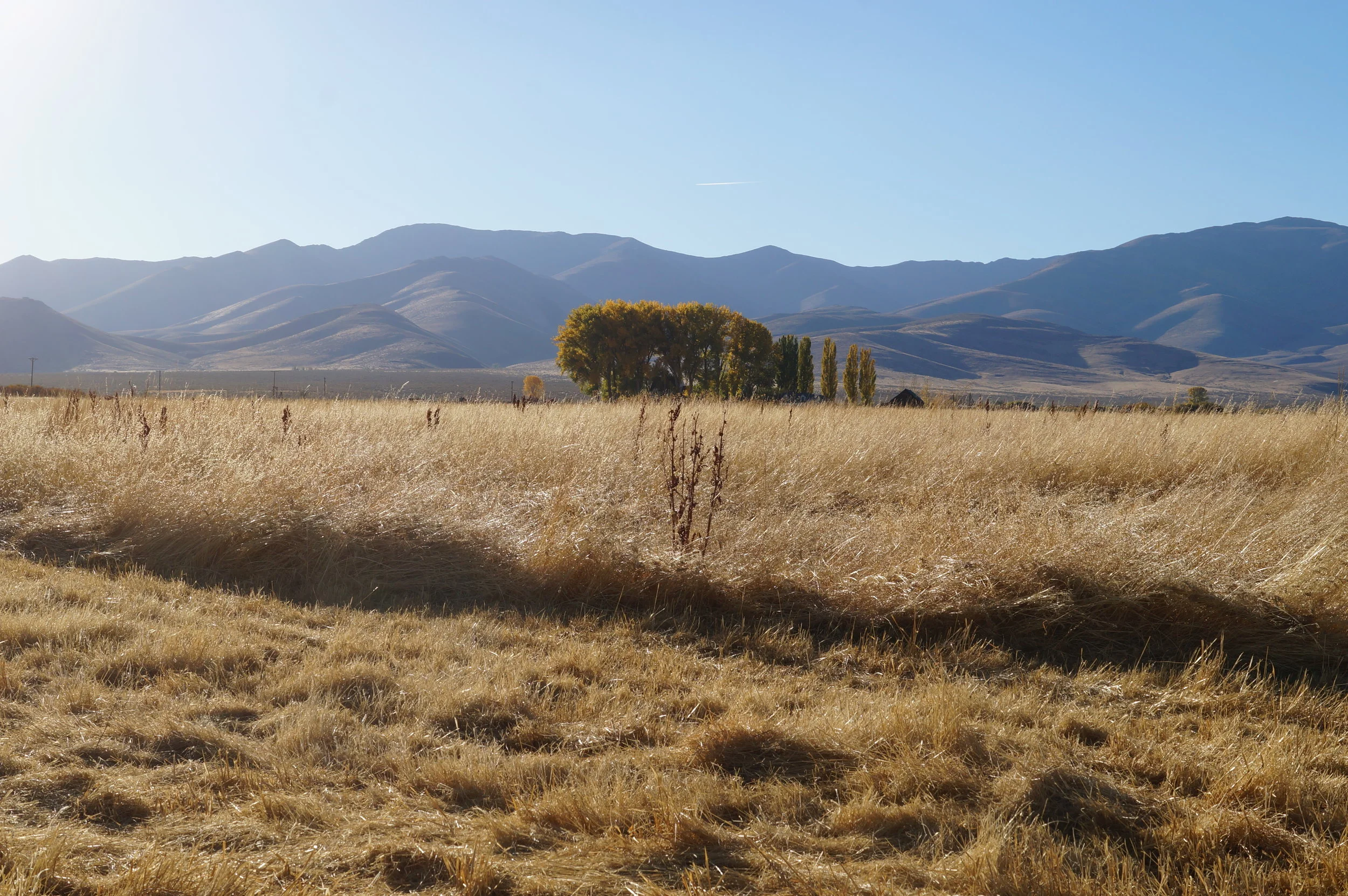 hunting pics 2016 and twins 315.JPG