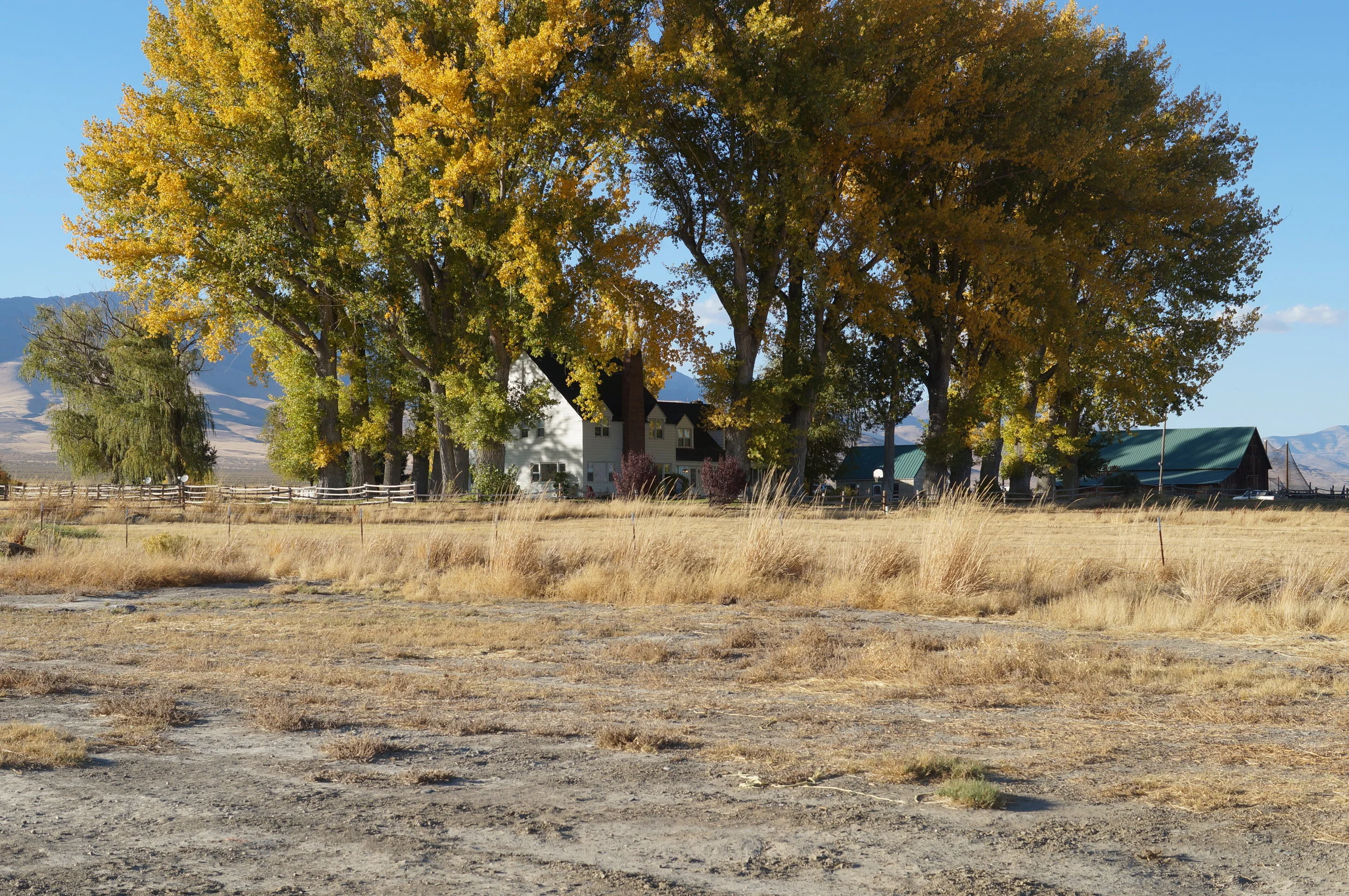 hunting pics 2016 and twins 328.JPG