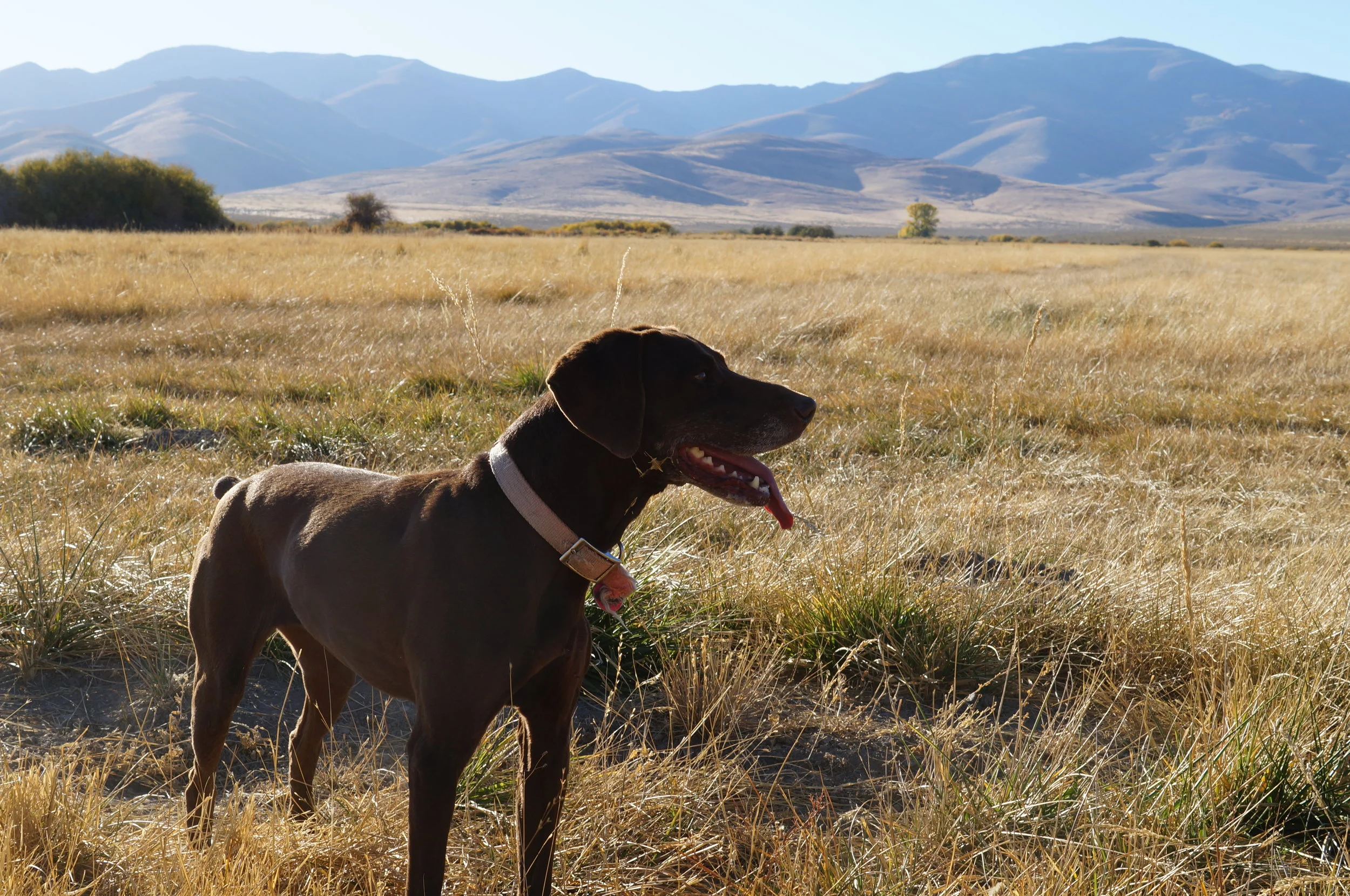 hunting pics 2016 and twins 259.JPG