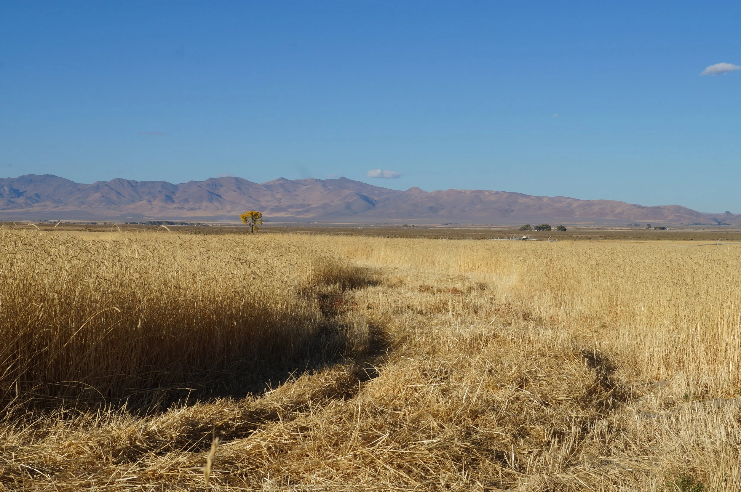 hunting pics 2016 and twins 282.JPG