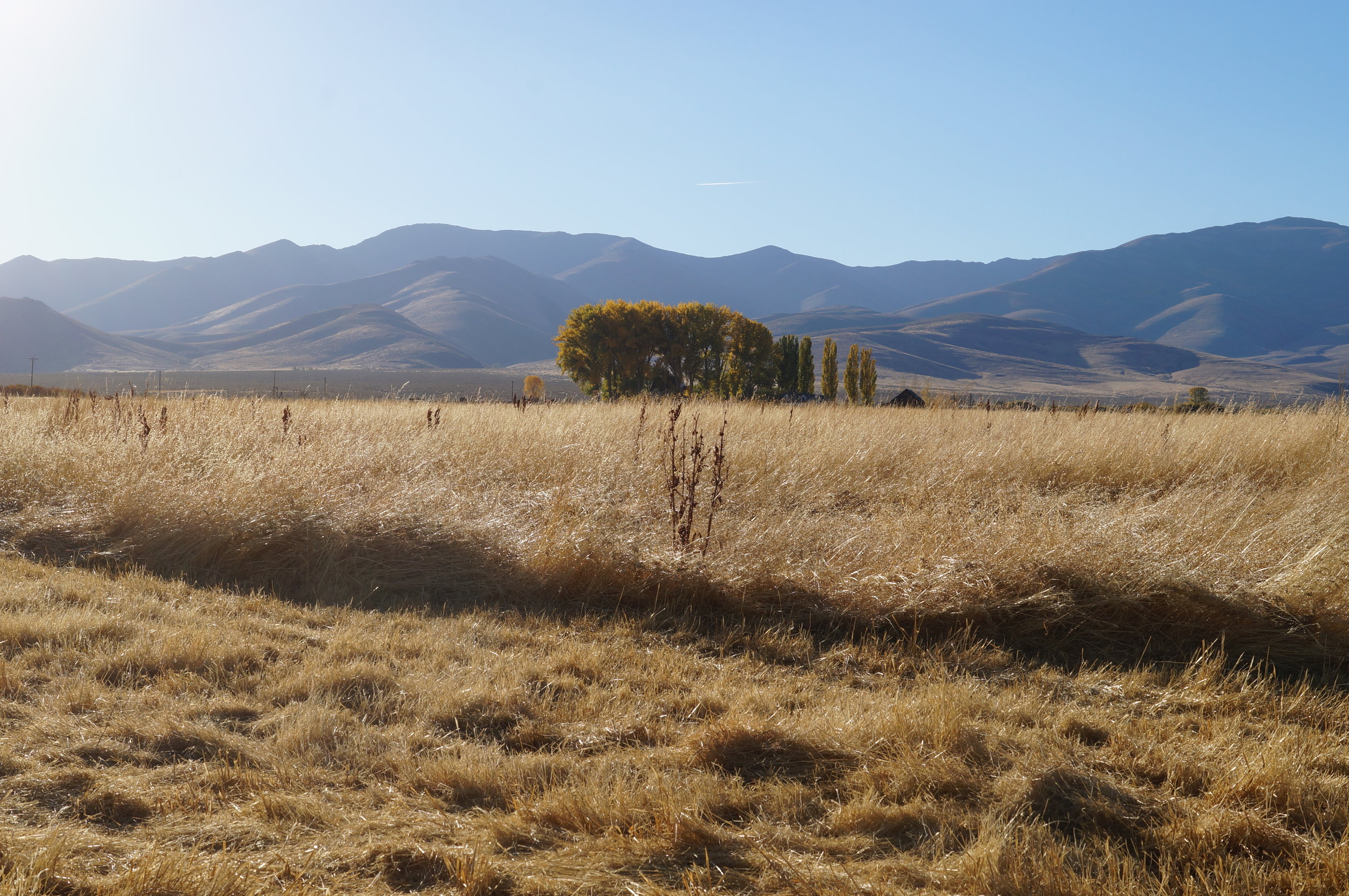 hunting pics 2016 and twins 315.JPG