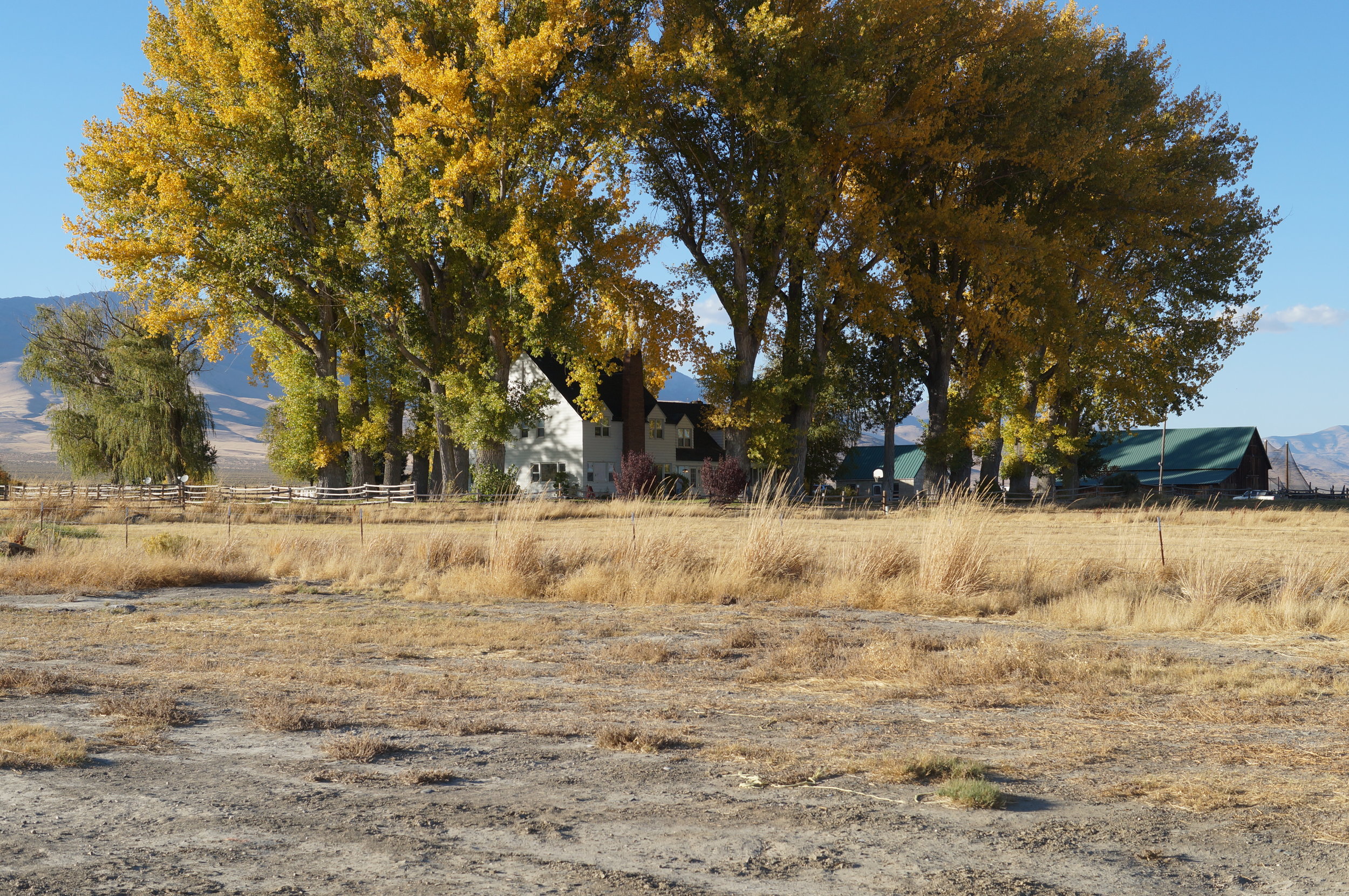 hunting pics 2016 and twins 328.JPG