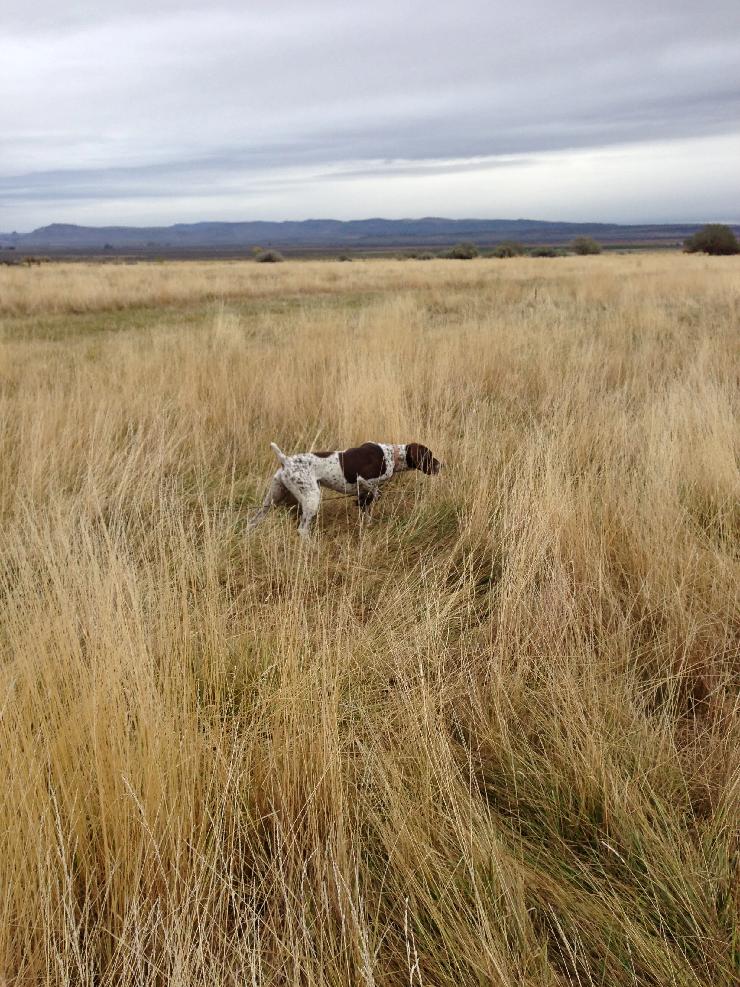 hunt club pics 047.JPG