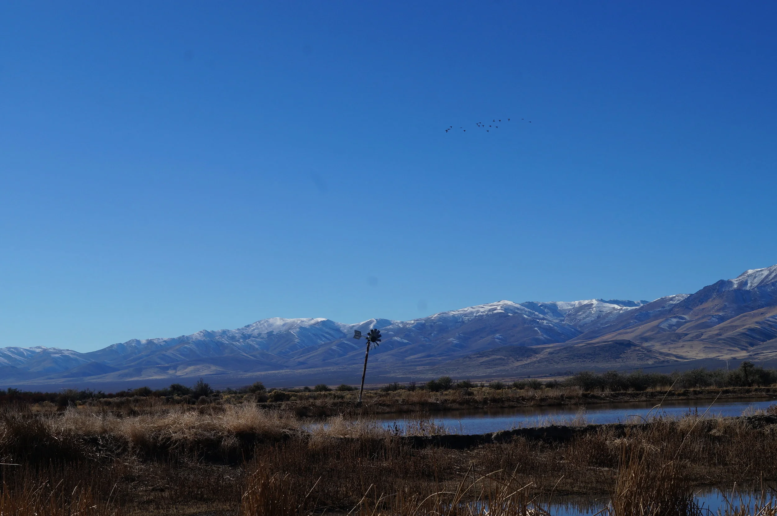 hunt club pics and videos 065.JPG