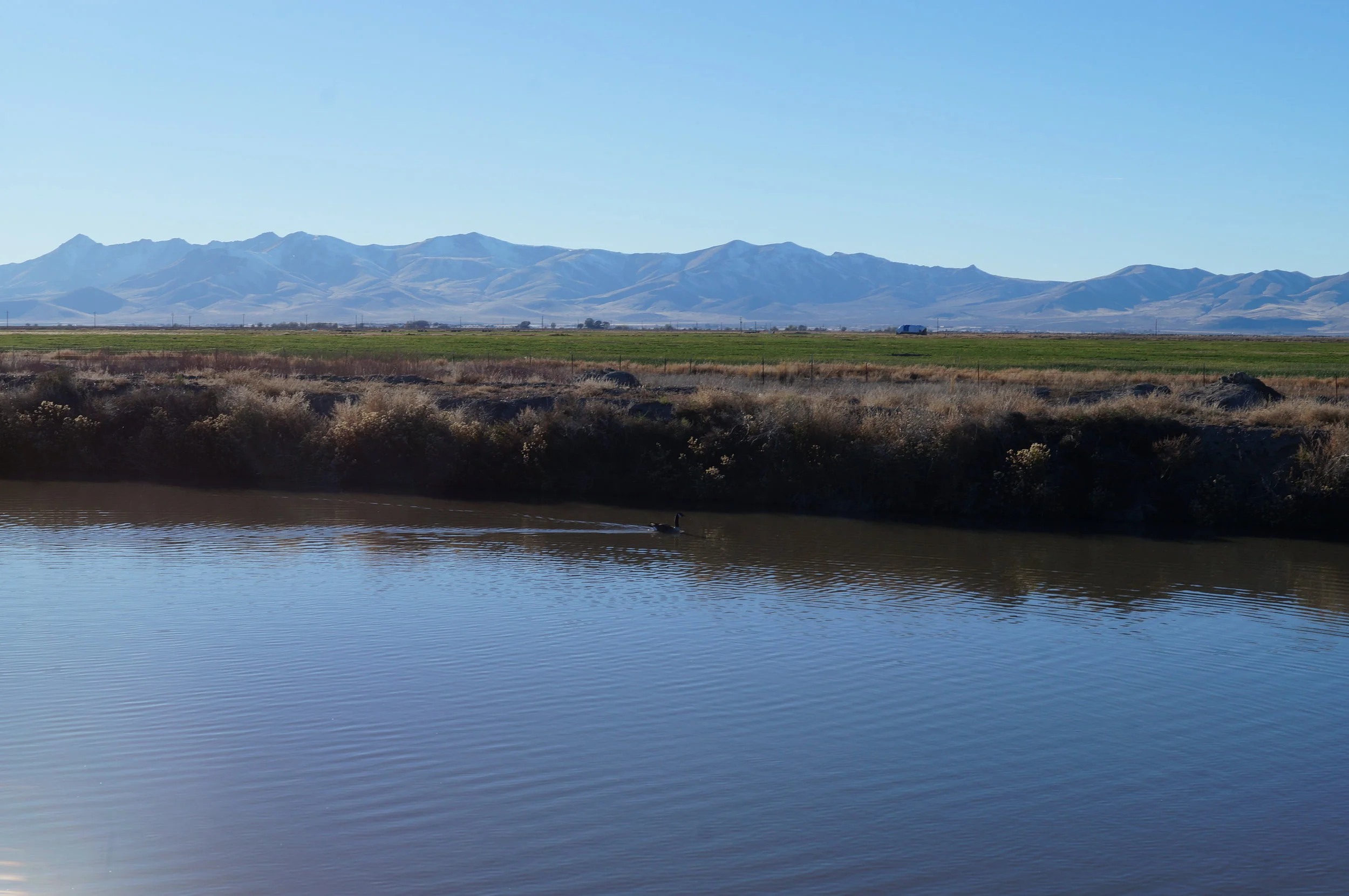 hunt club pics and videos 074.JPG