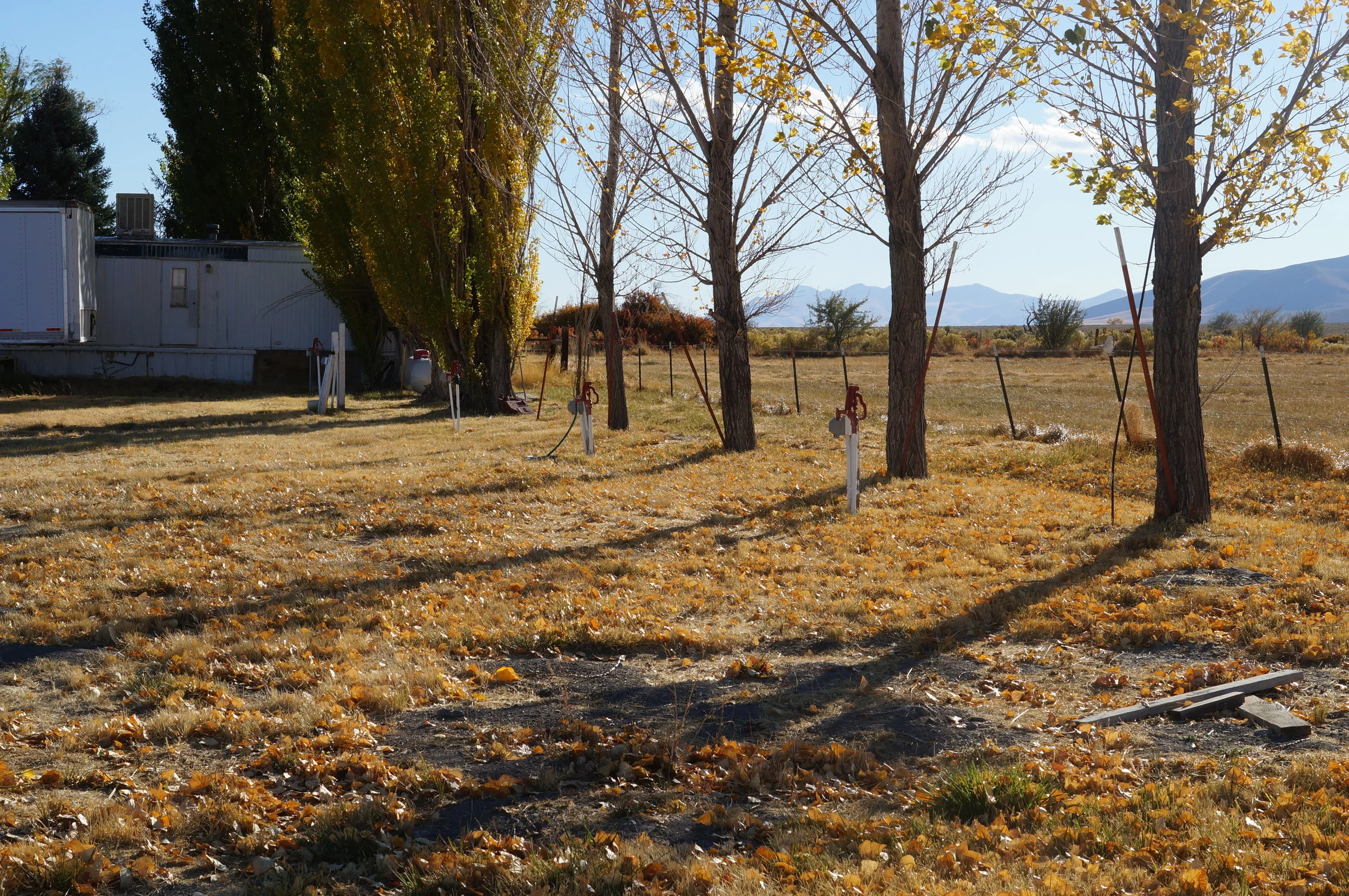 hunting pics 2016 and twins 144.JPG