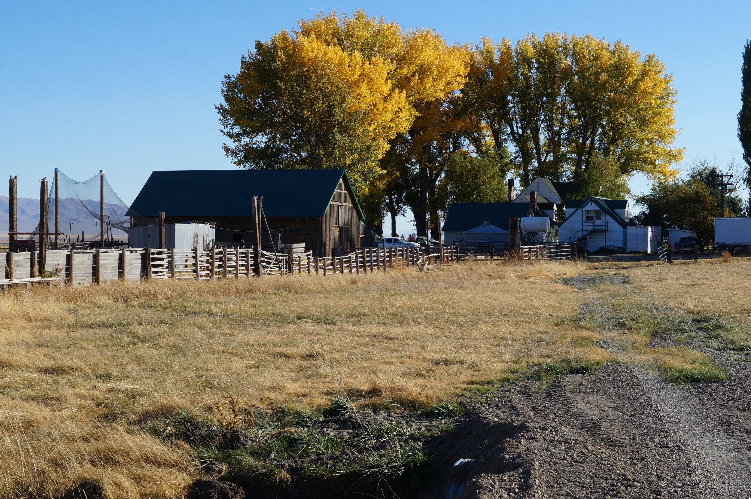 hunting pics 2016 and twins 140.JPG