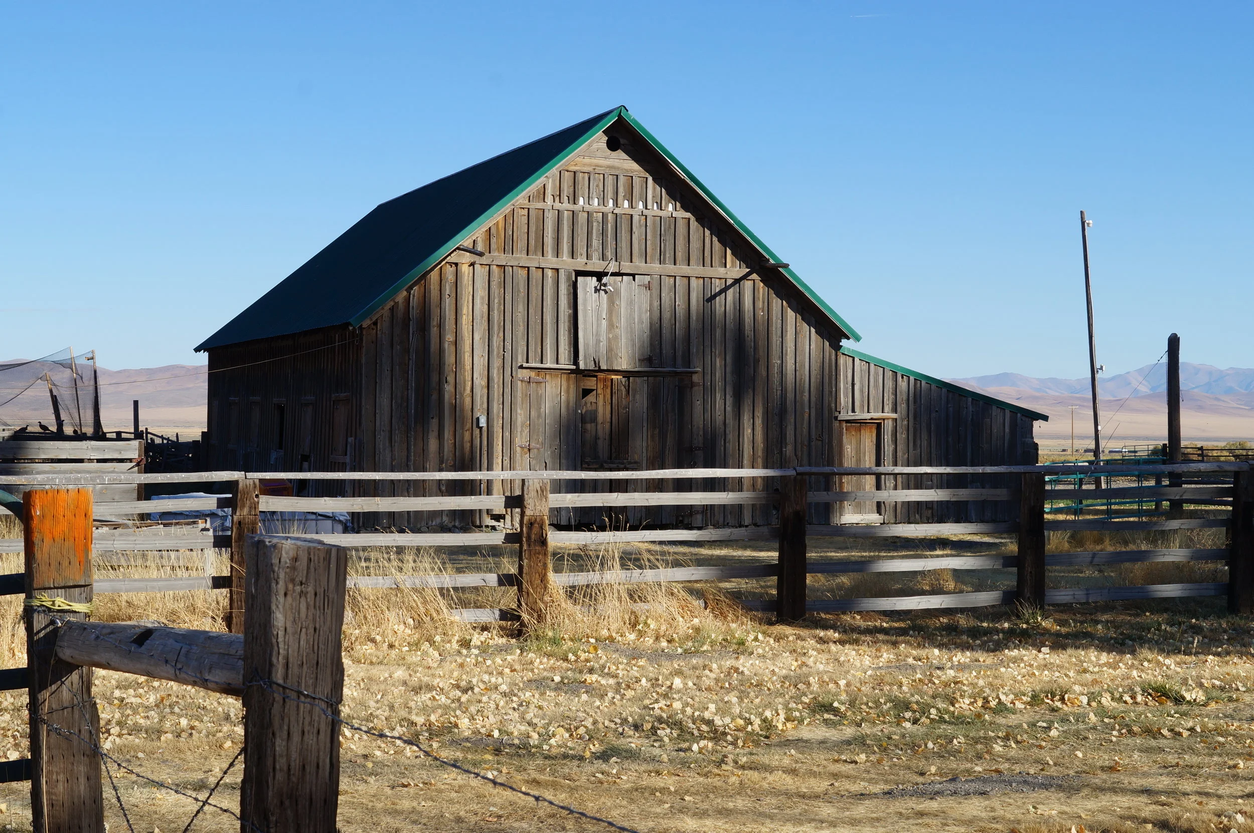 hunting pics 2016 and twins 147.JPG