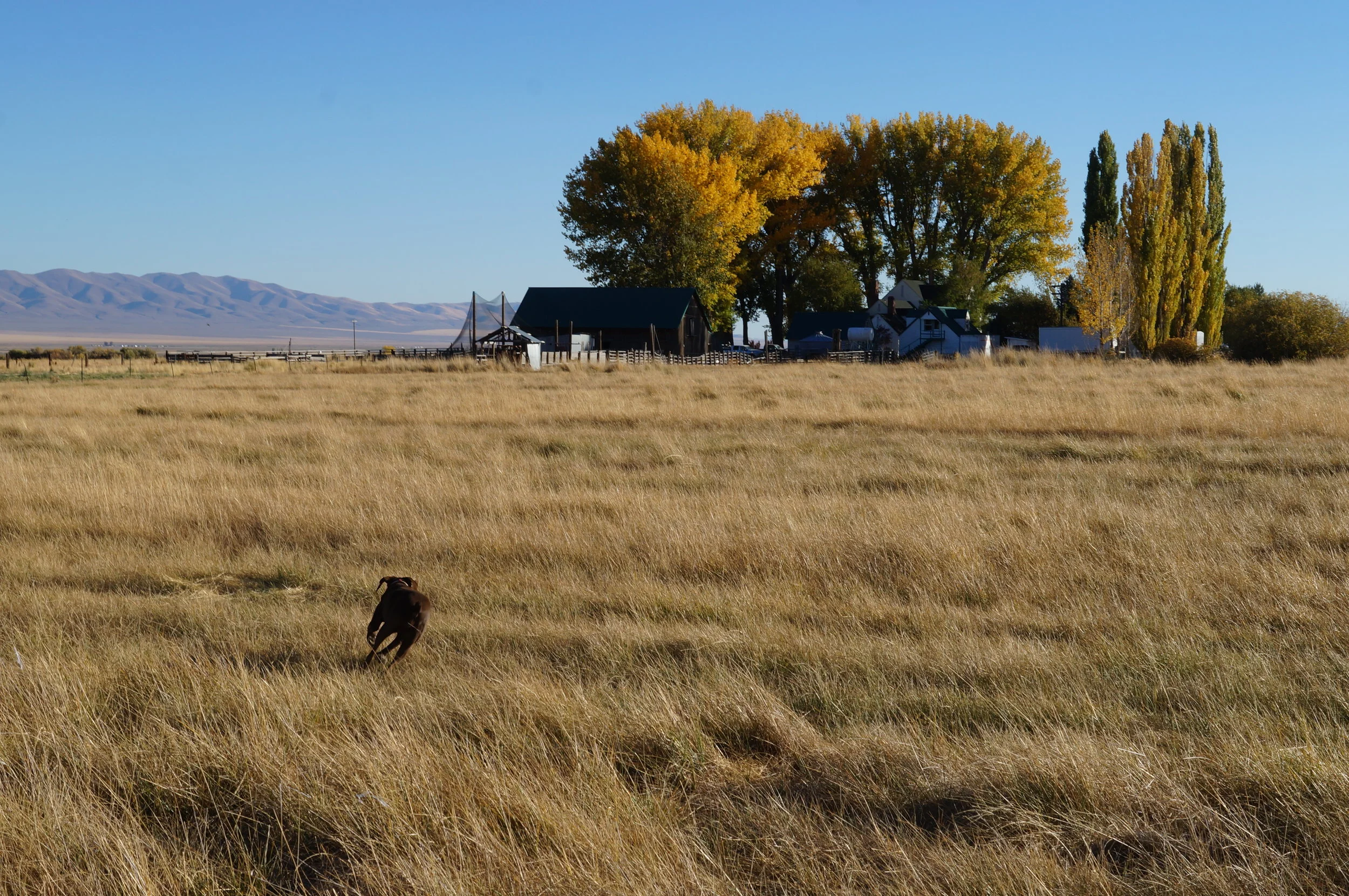 hunting pics 2016 and twins 230.JPG