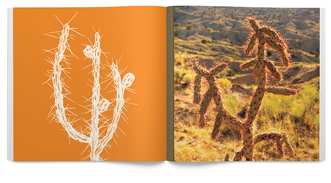 Magazine 0406-10 2014-11-10.png