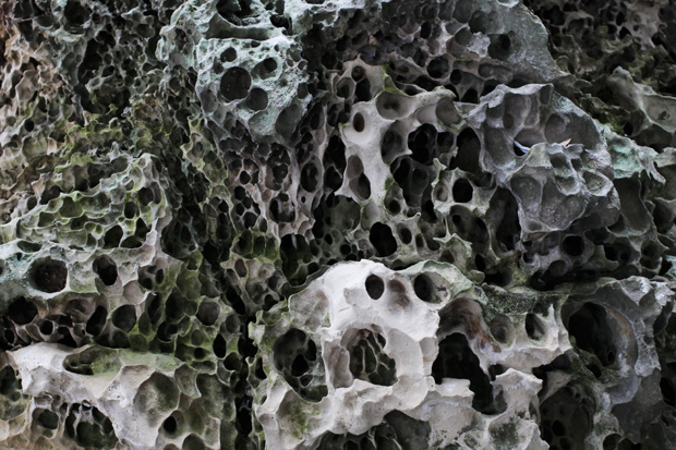 20121231_Hemlock-Cliffs11
