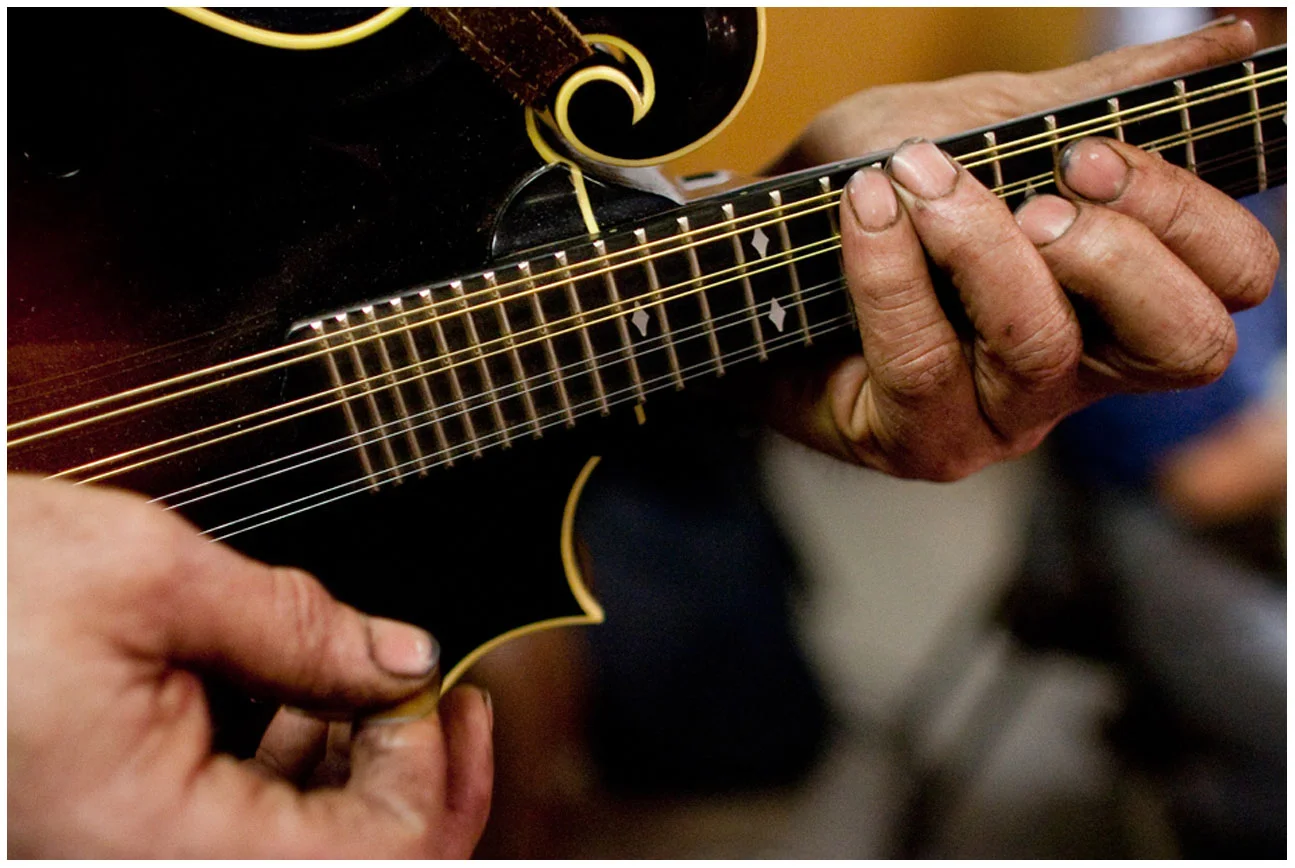 Fiddle_07.jpg