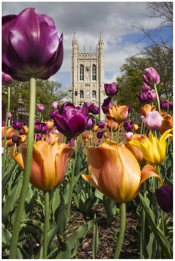 purdue_05.jpg
