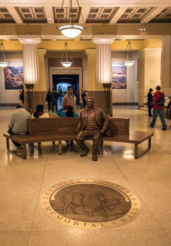 masterwork-plaques-custom-bronze-medallions-inset-medallions-AMNH-American-Natural-History-Museum-Theodore-Roosevelt-Memorial-Hall.png