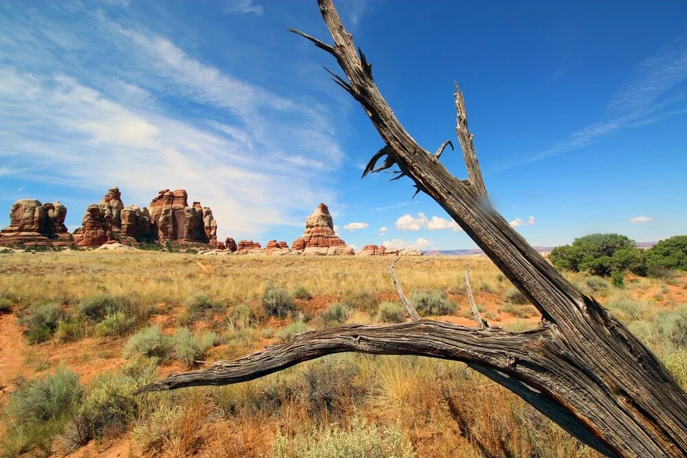 NICO MUHLY'S CONTROL (FIVE LANDSCAPES FOR ORCHESTRA)