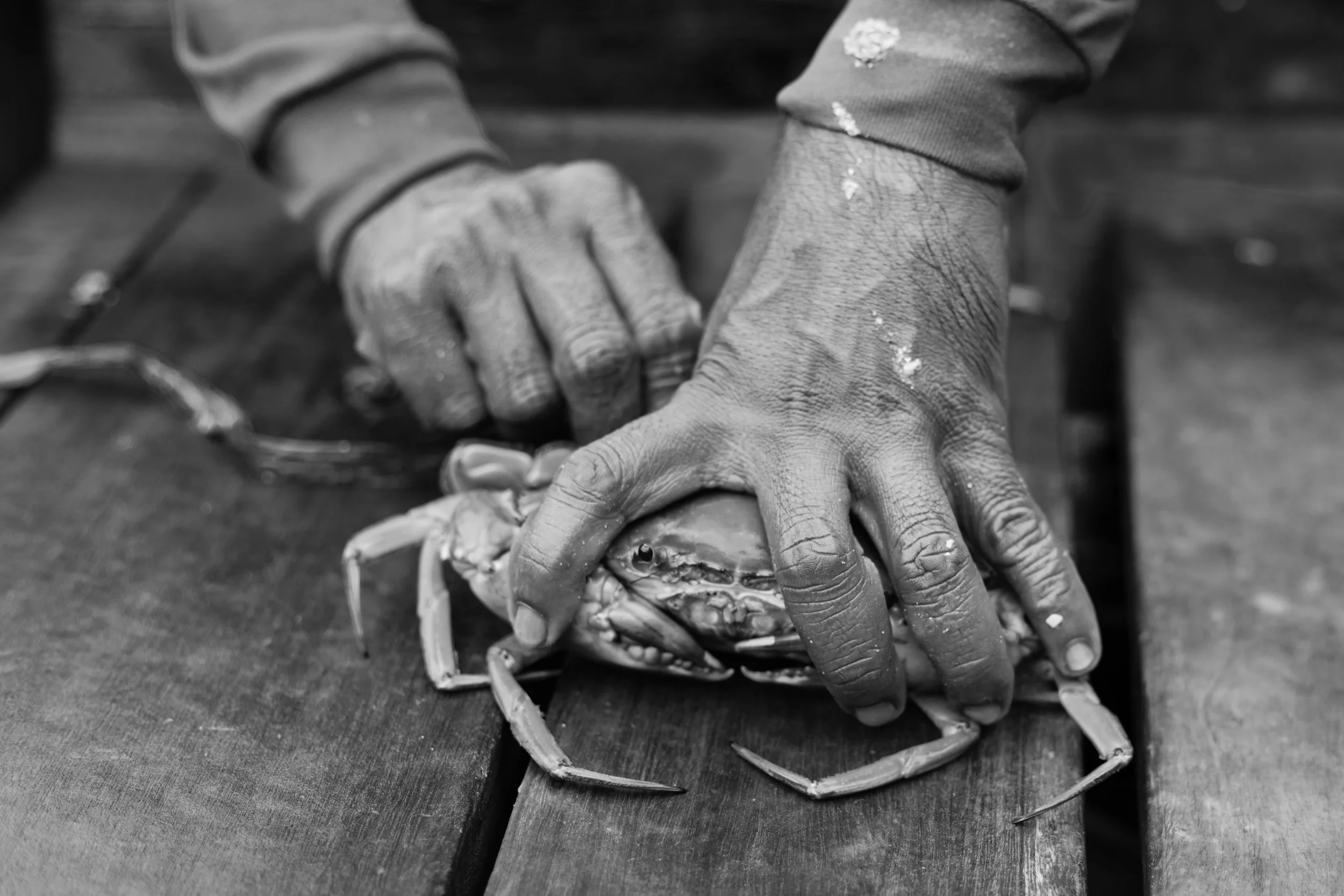 Fisherman’s Prize