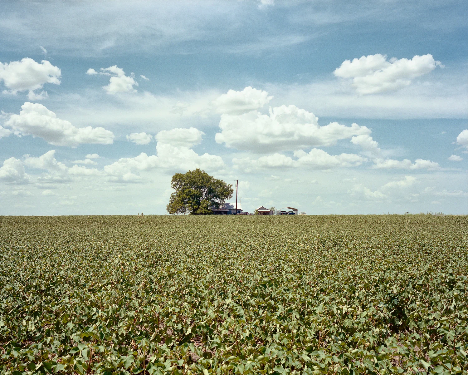 Open Spaces