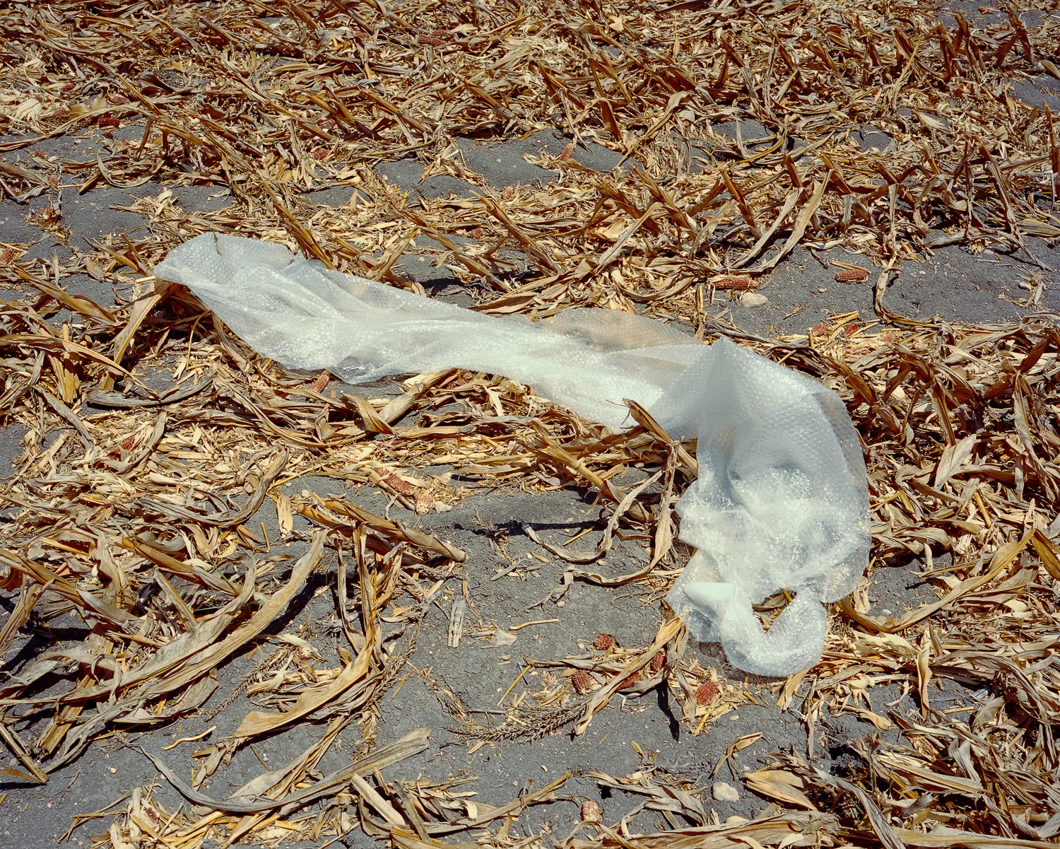 Plastic Corn