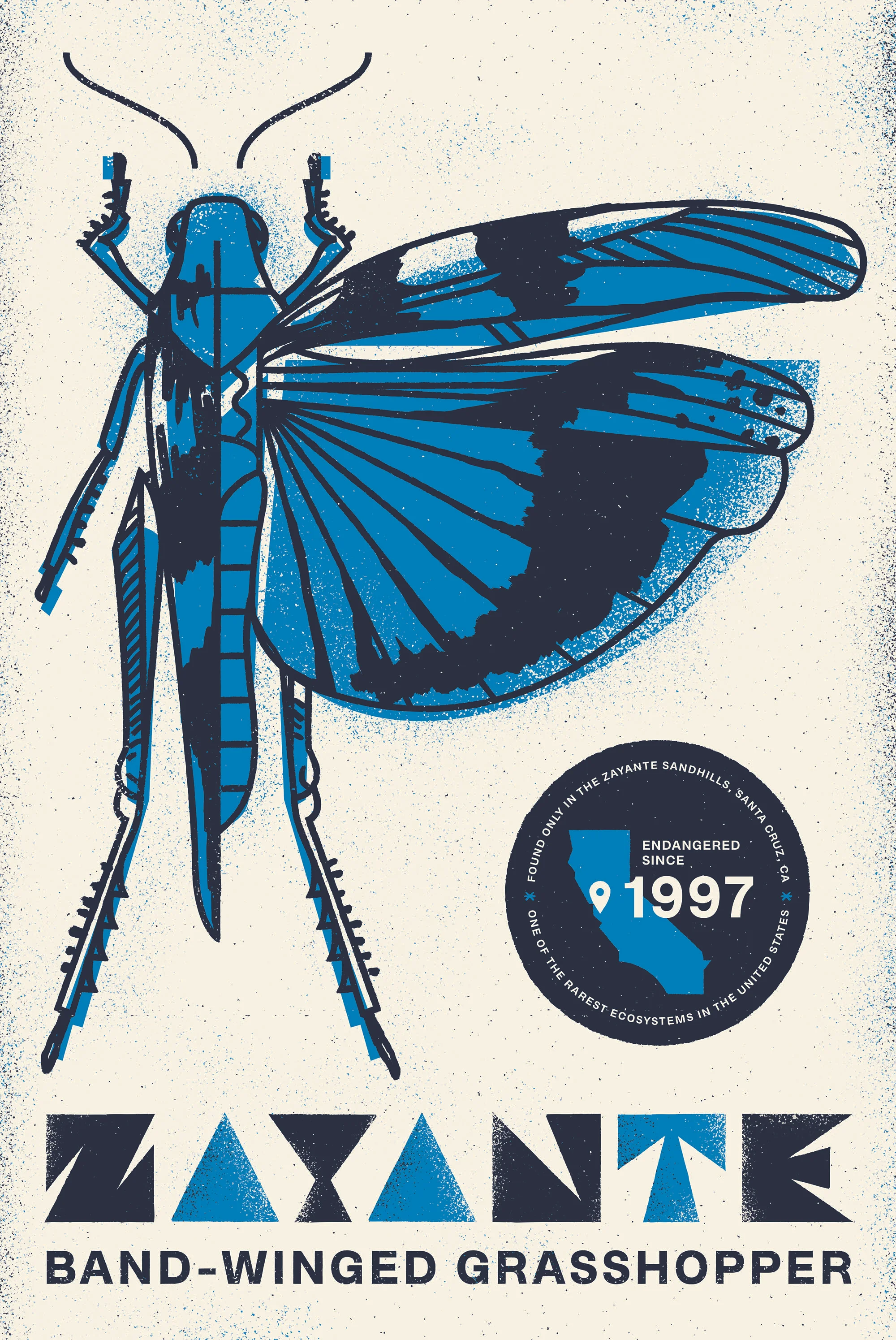 Type Hike Alphabeast_Zayante Band-Winged Grasshopper.jpg