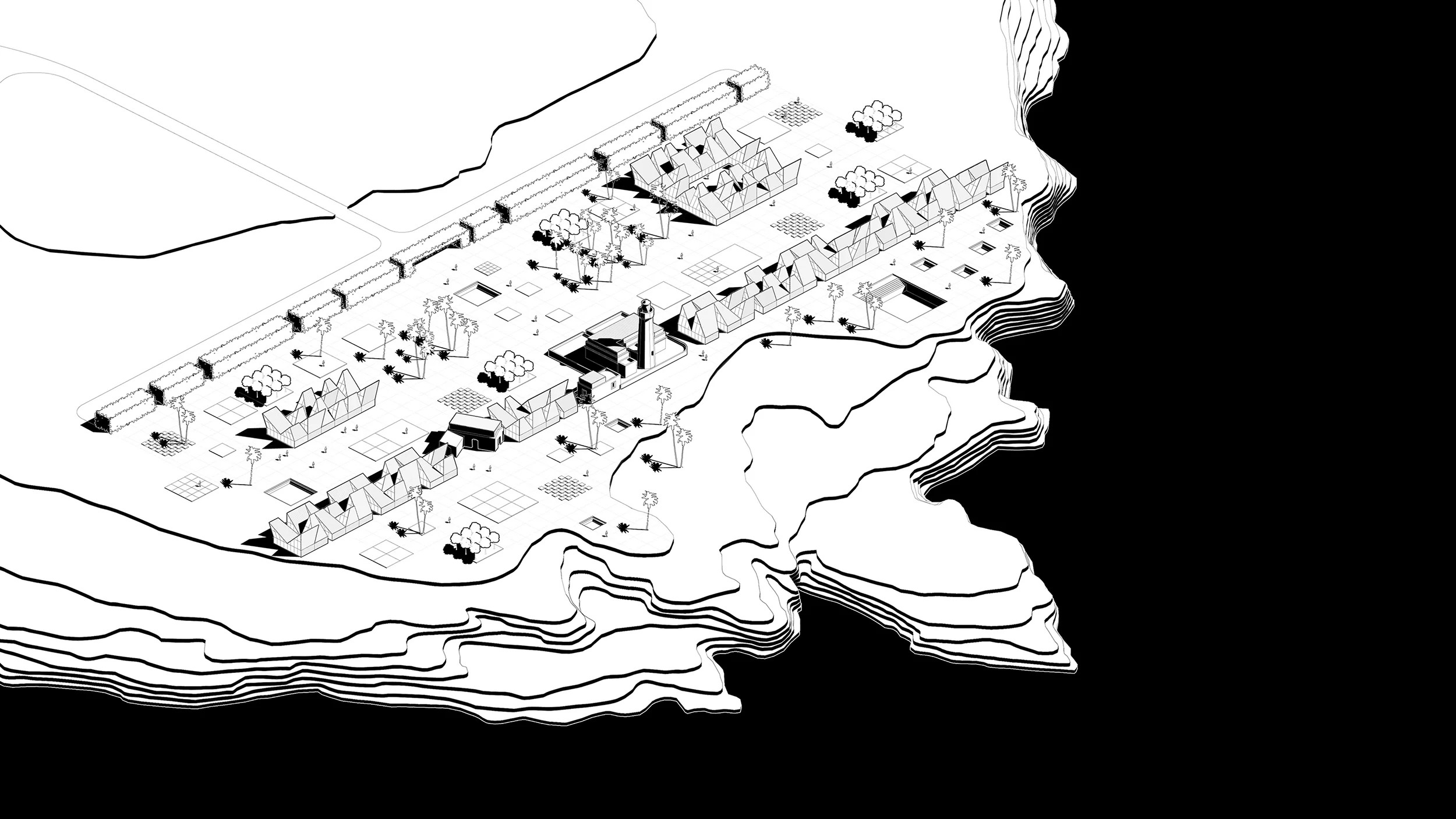 d6.jpg