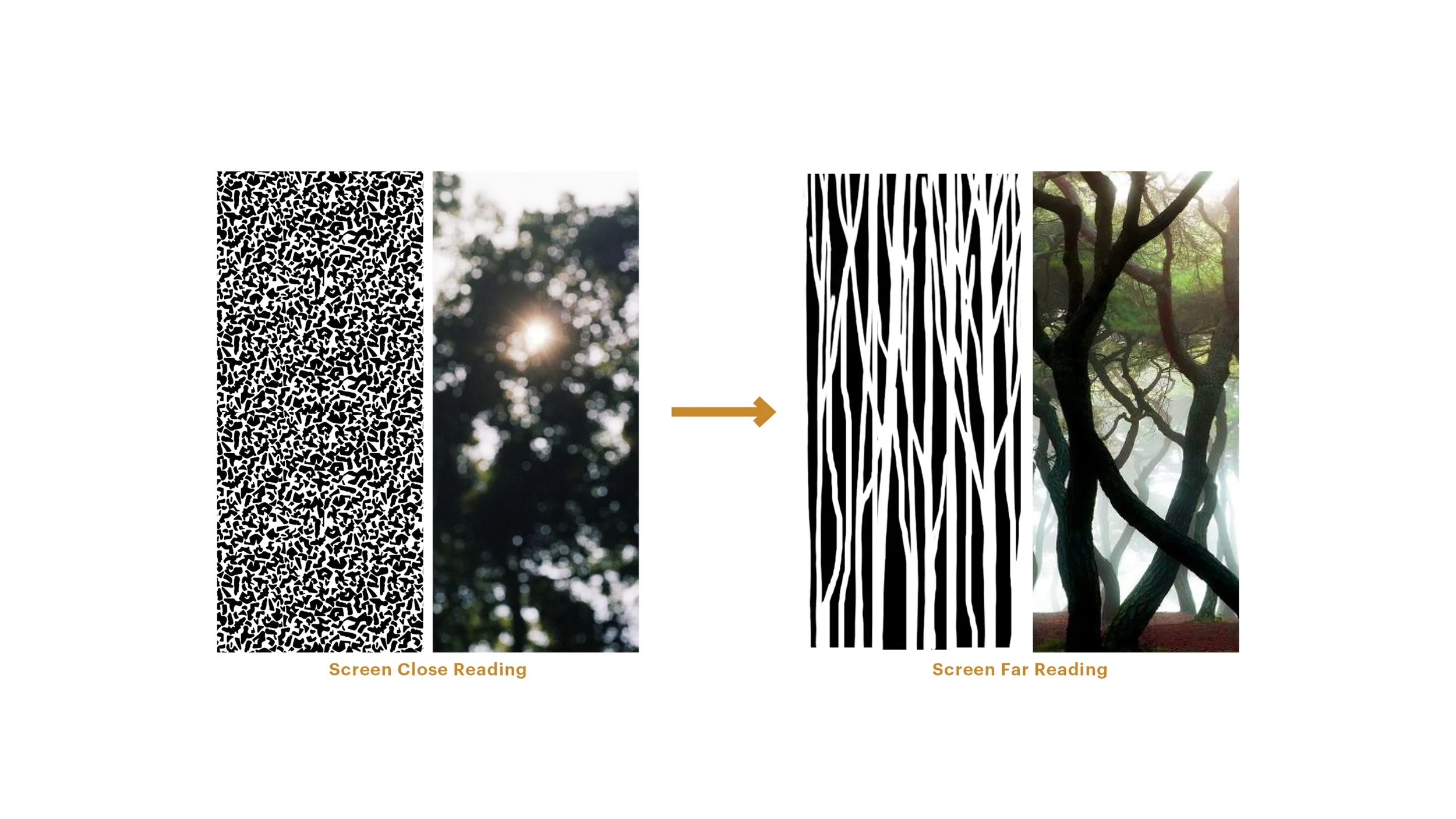 Images for Web111.jpg