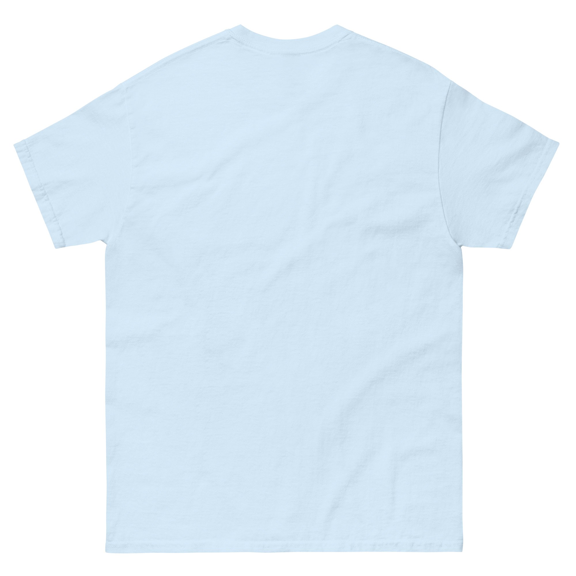 unisex-classic-tee-light-blue-back-67f80aa0c9f95.jpg