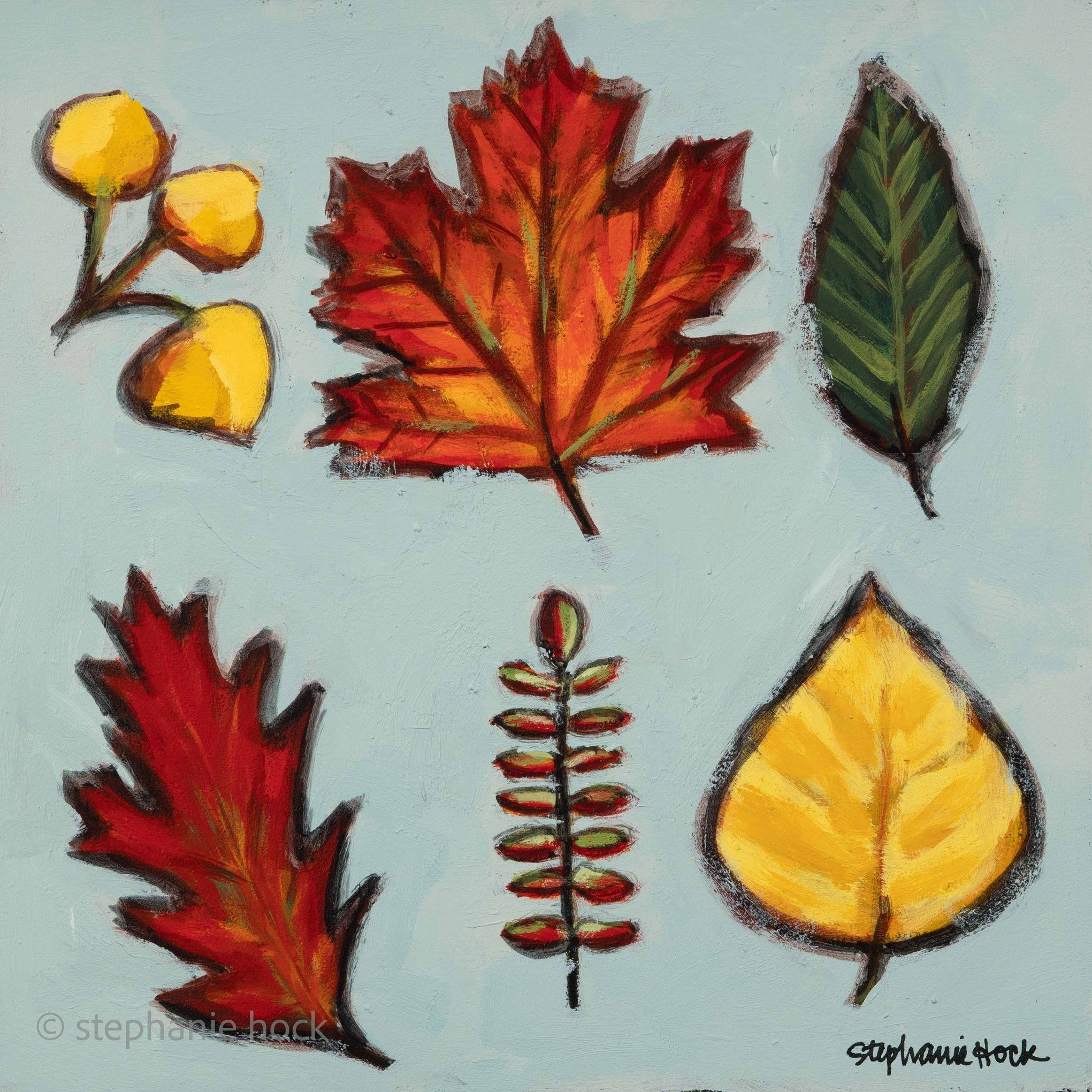 My husband and I like to go on walks and lately he's been endlessly patient as I stop over and over and crouch close to the gravel to take close up photos of different kinds of leaves. Maybe it's not the greatest for our heart rates, but boy is it gr