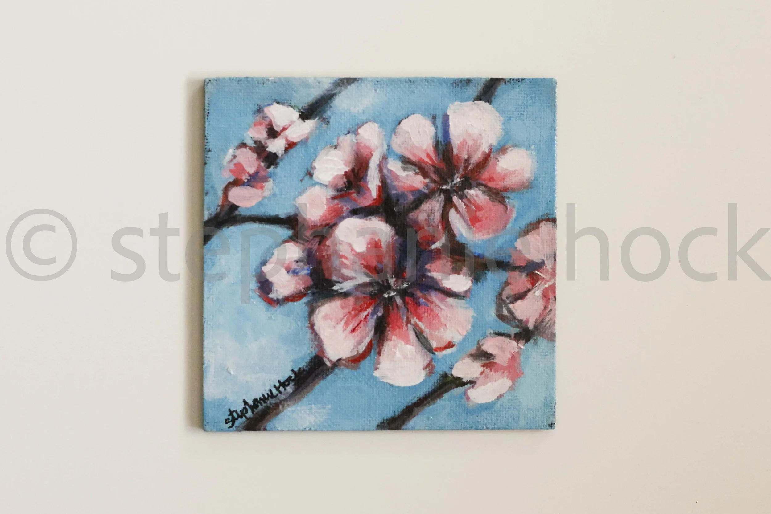 25040 mini 4x4-45.jpg