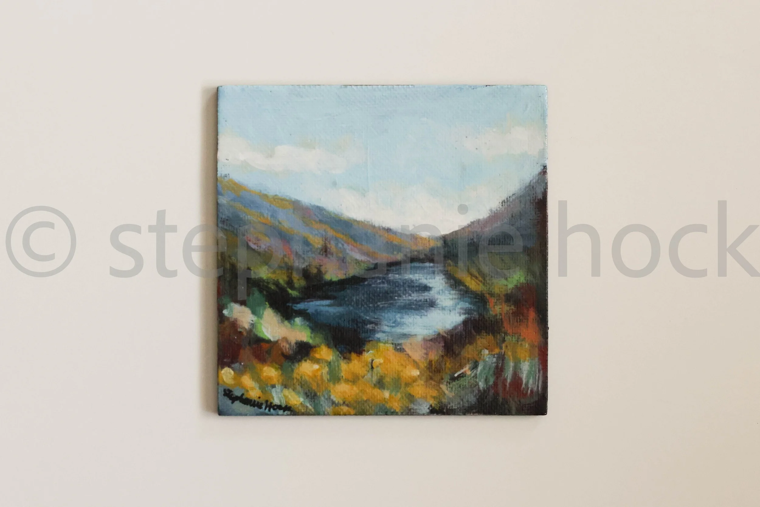 25040 mini 4x4-35.jpg