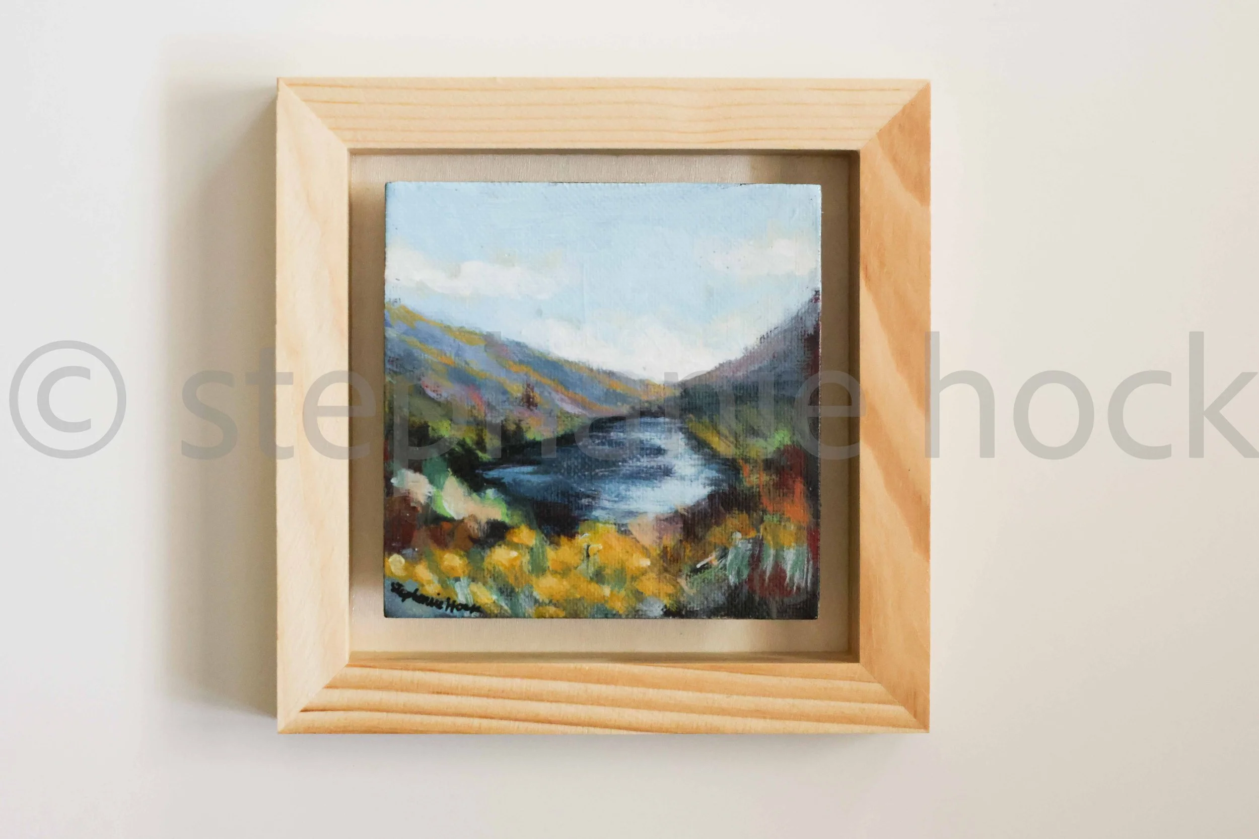 25040 mini 4x4-36.jpg