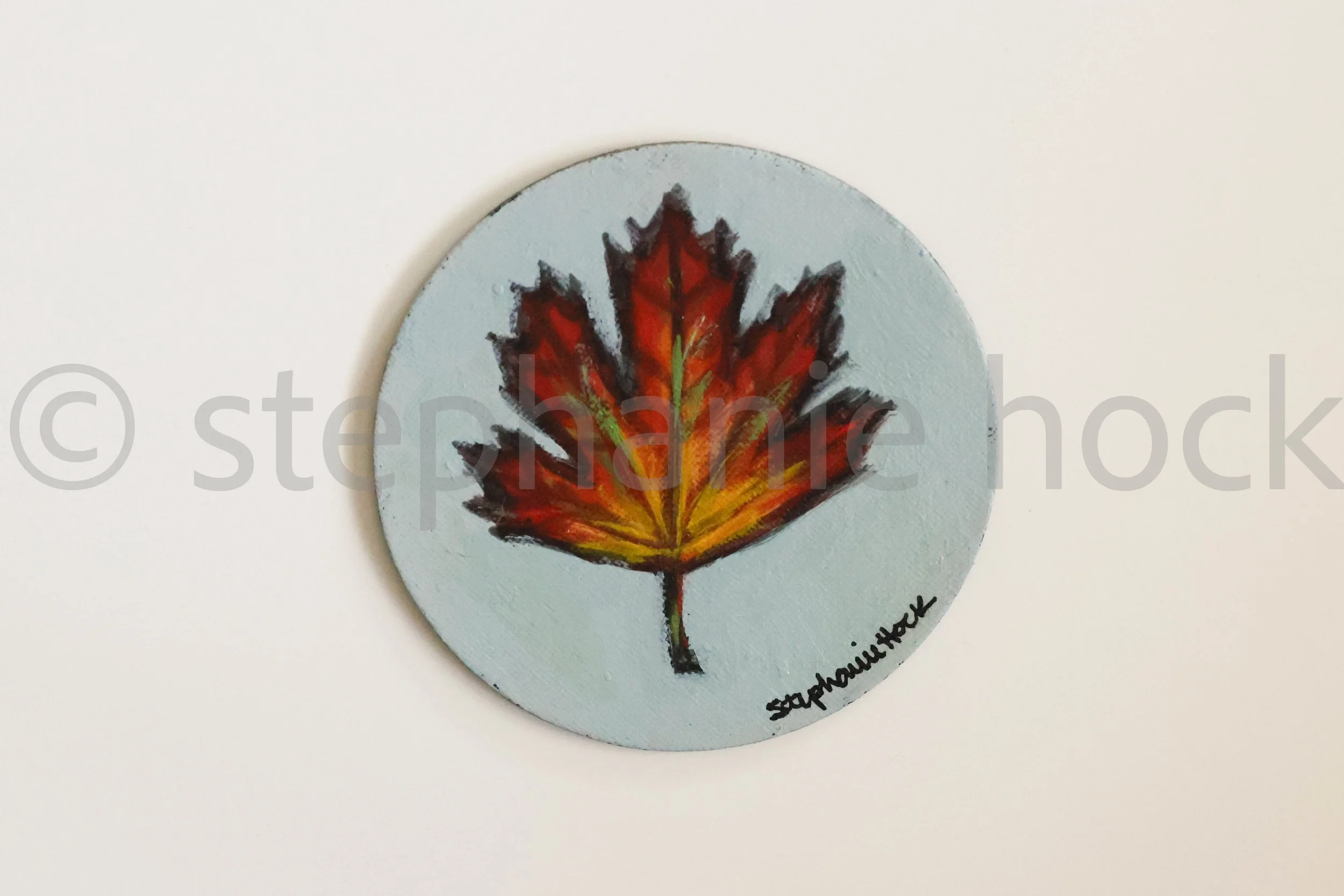 25040 mini 4x4-20.jpg