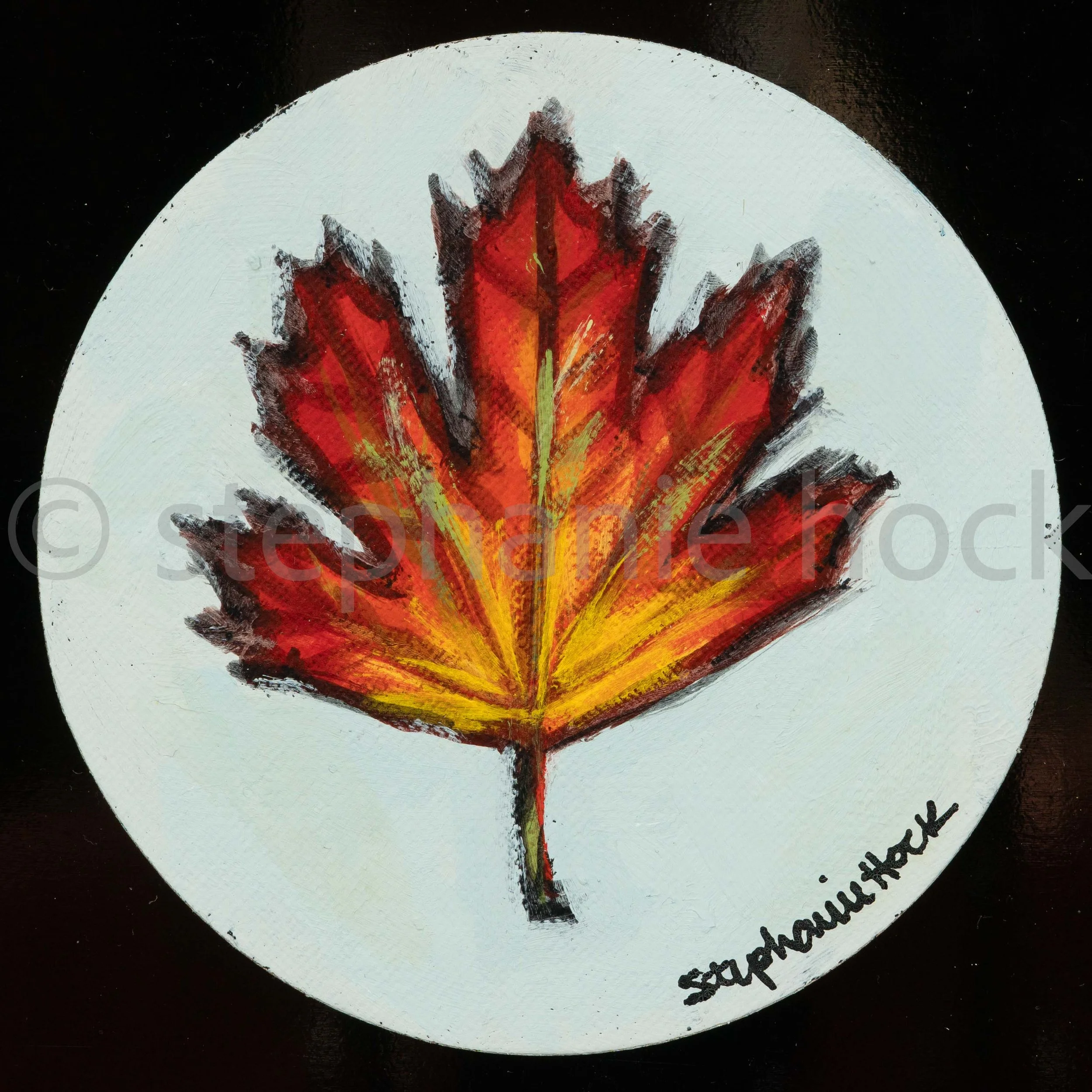 25040-M1013 Maple Leaf 4x4 Circle.jpg