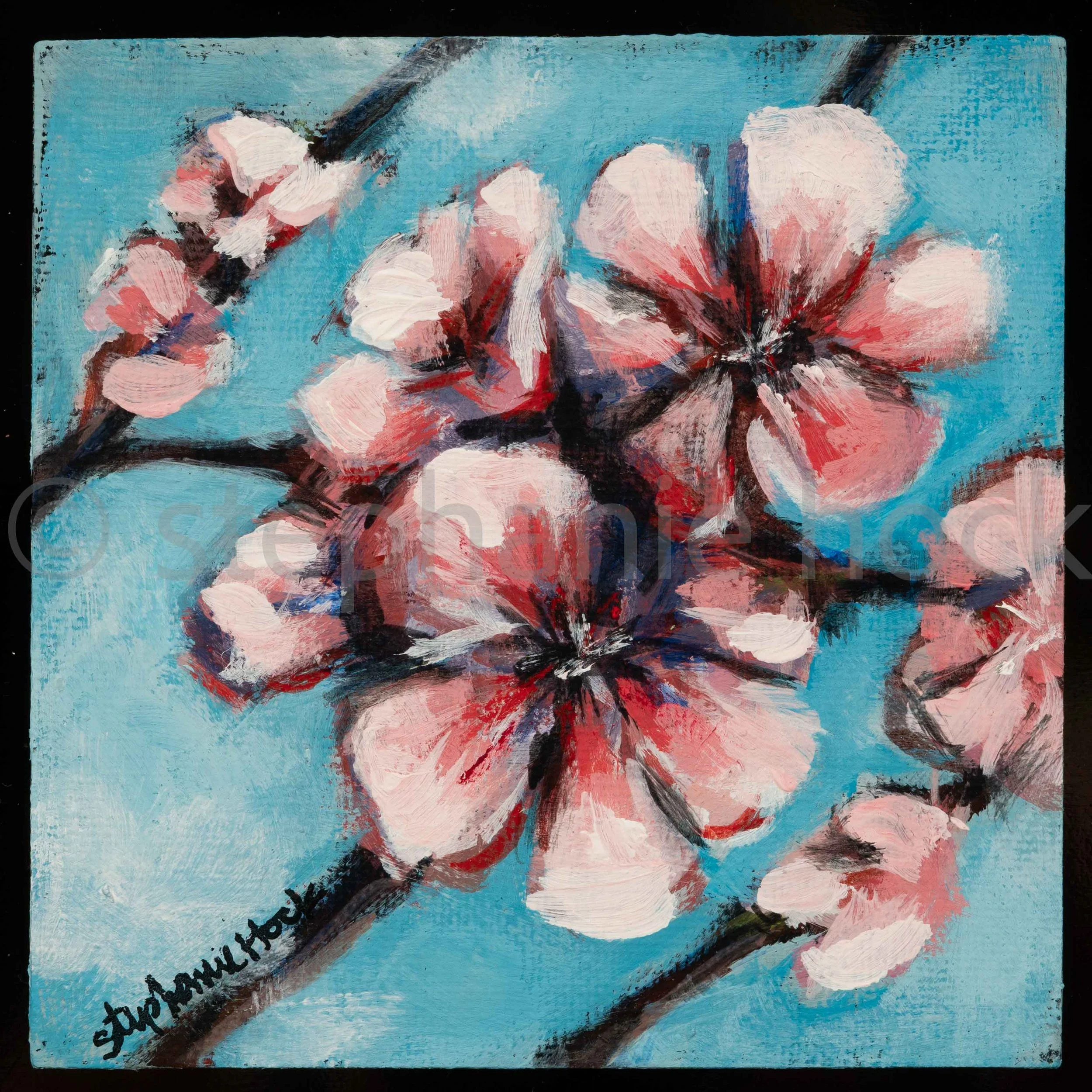 25040-M1012 Cherry Blossoms 4x4 Square.jpg