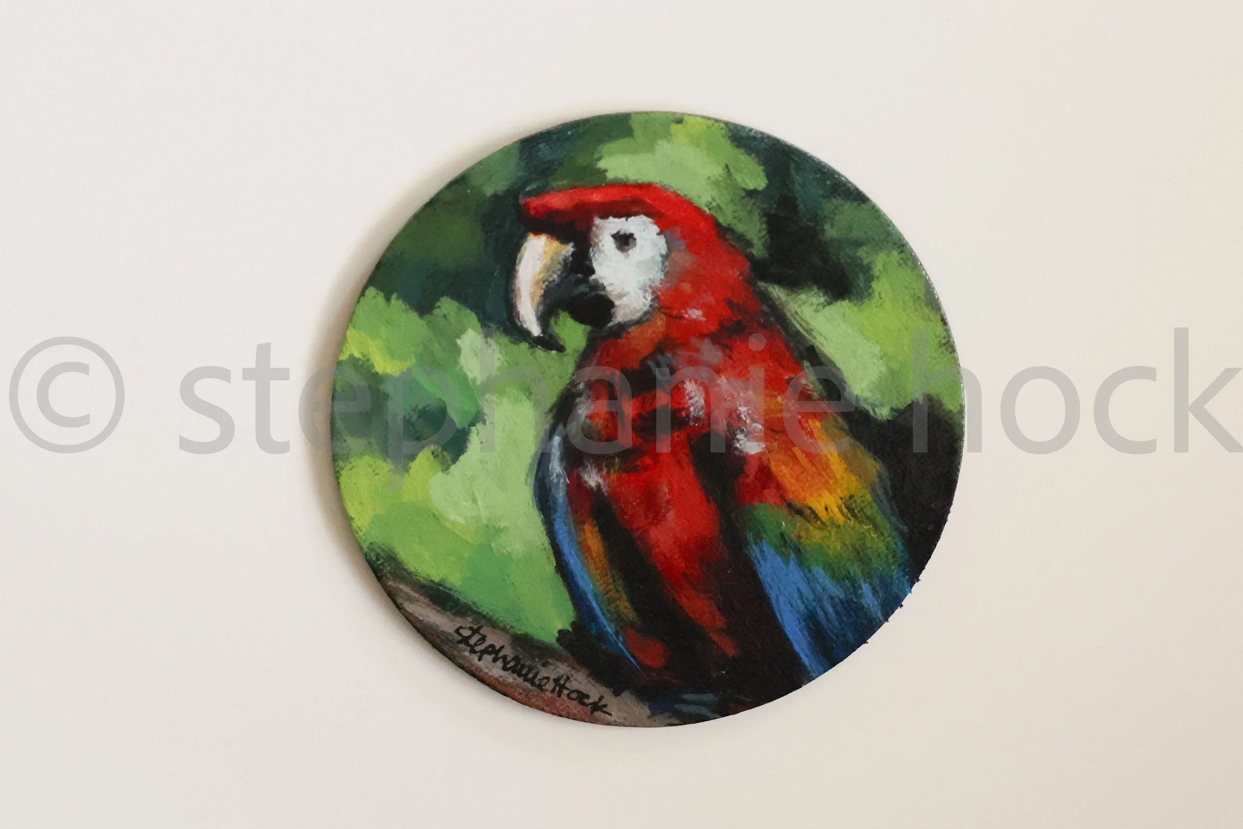 25040 mini 4x4-18.jpg