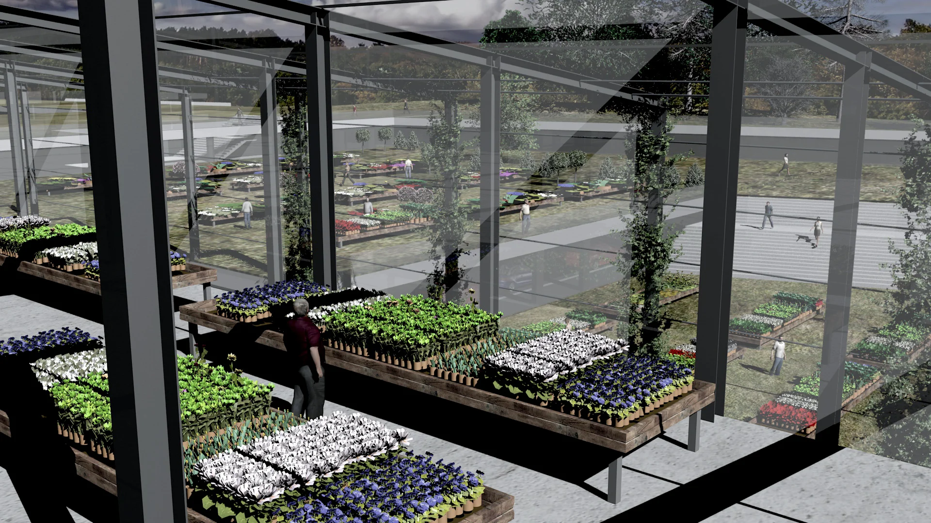 BinnenPlanten.jpg