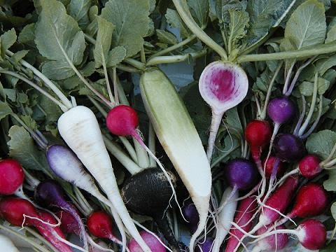 Imagen de: The poetic vegetable garden