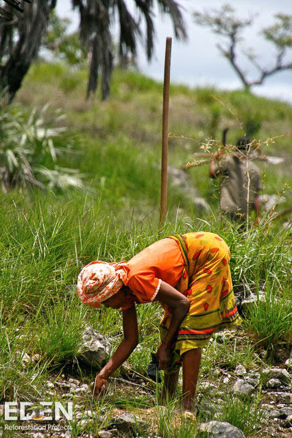 girl planting.jpg