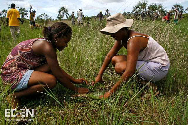 Ladies planting.jpg