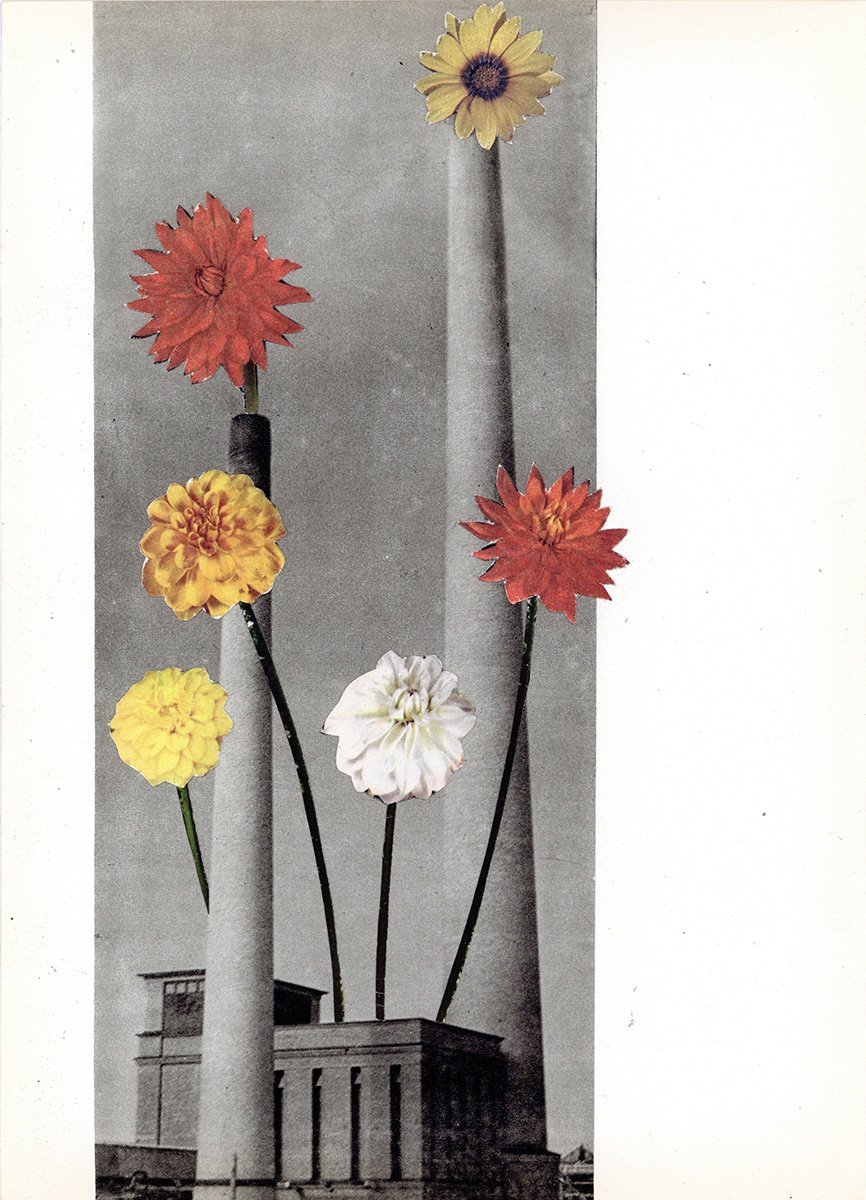 Flower Power