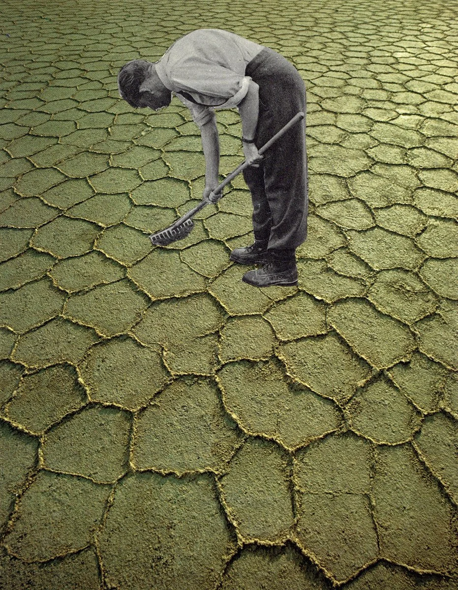 Reap What You Sow