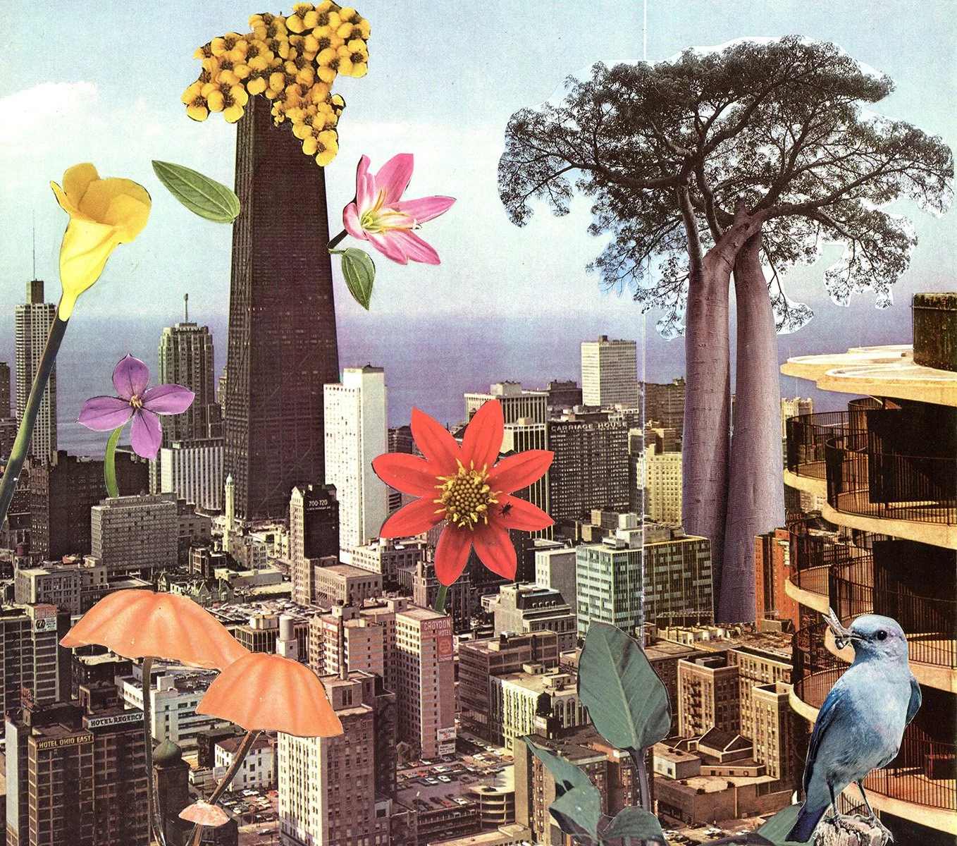  Original collage 31×28cm 2026 