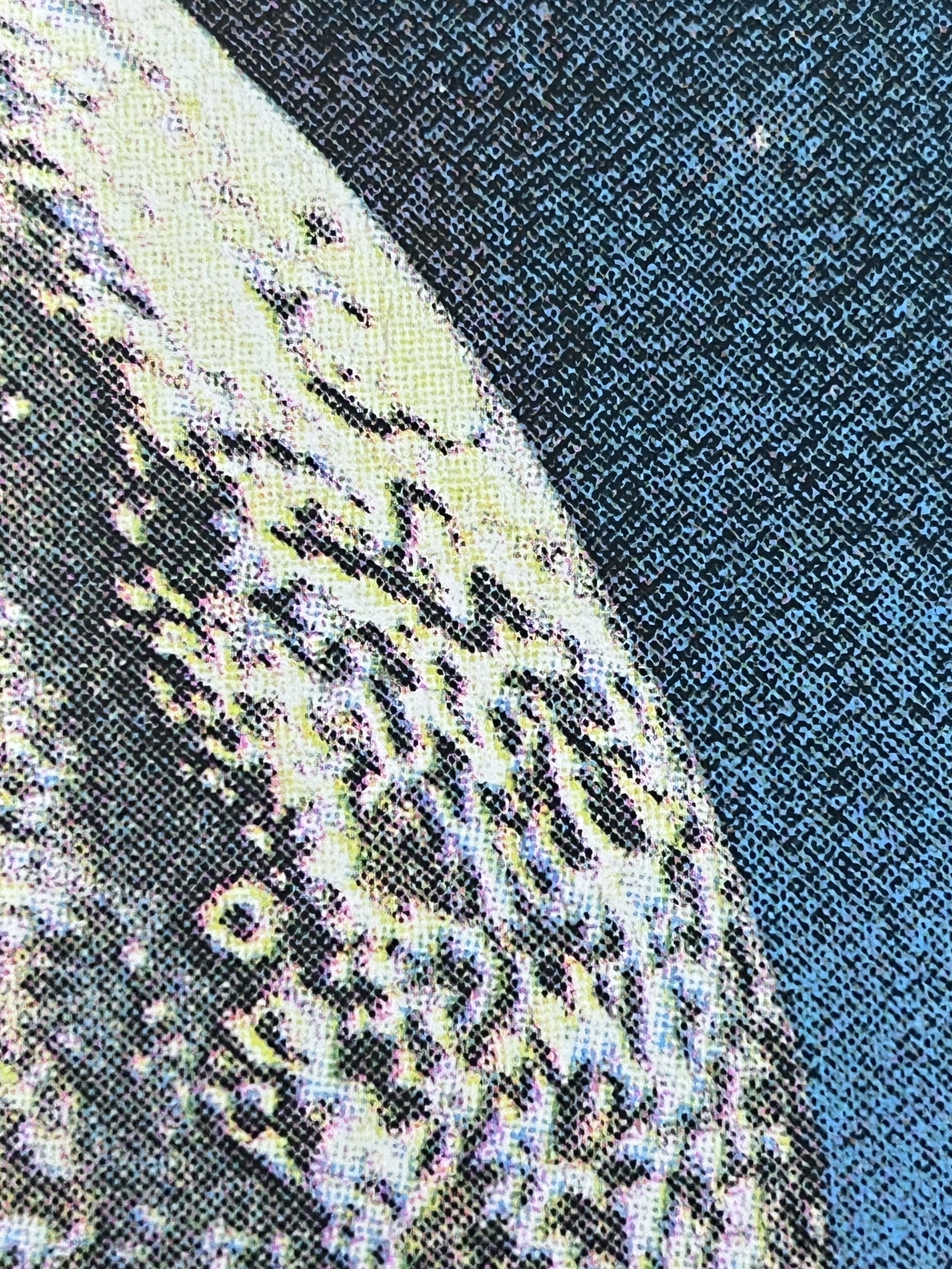 Joe Webb - Long Trip - Detail 1.jpg