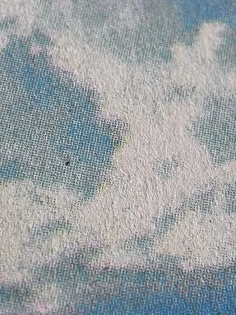 912C3C55-3B1D-44E9-933E-3153EC1E6071.jpeg