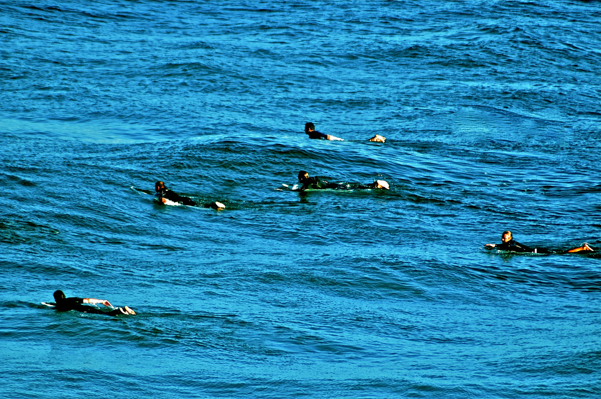 Surf 3