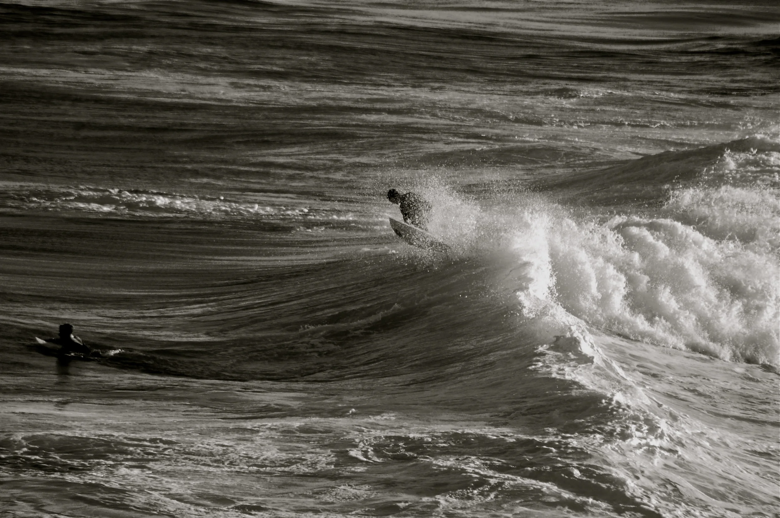Surf 16